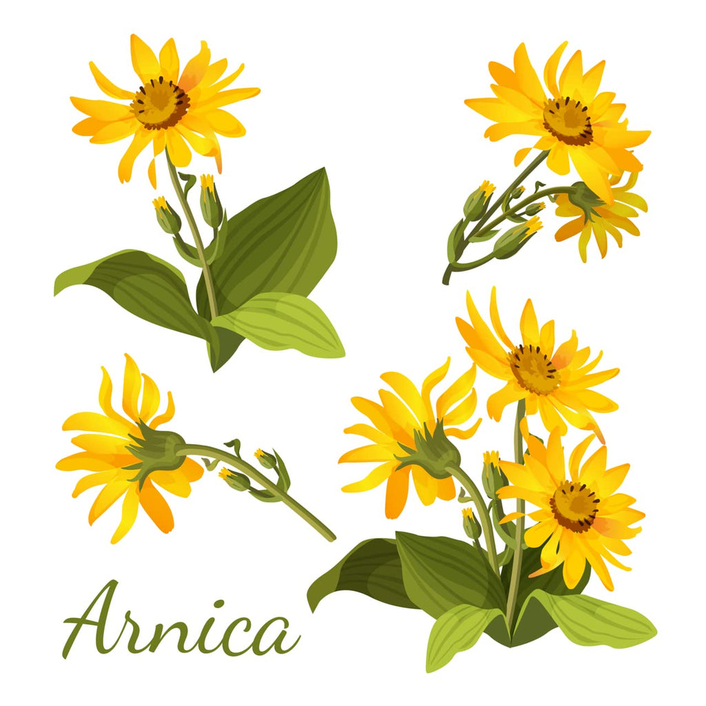 All-Natural Arnica Muscle Balm - Plant-Based Topical swelling and bruising Relief | Essential Oils & Menthol soothes and cools sore muscles, Hypoallergenic & Paraben-Free, Made in USA - TrustMedUSA