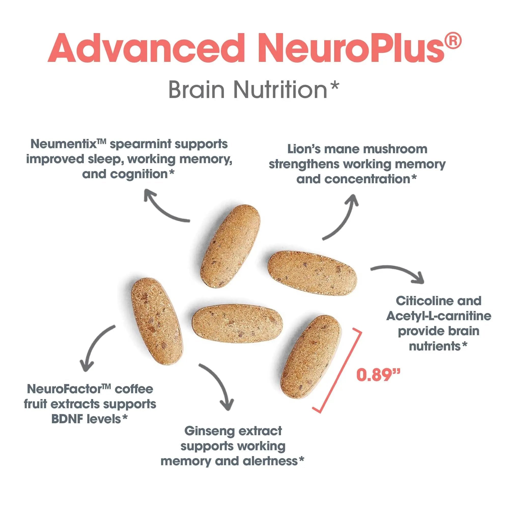 Allergy Research Group Advanced NeuroPlus - Nootropic Formula with Spearmint Extract, Lions Mane & Citicoline - Supports Working Memory Focus & Cognitive Function - 30 Servings - 90 Tablets - TrustMedUSA