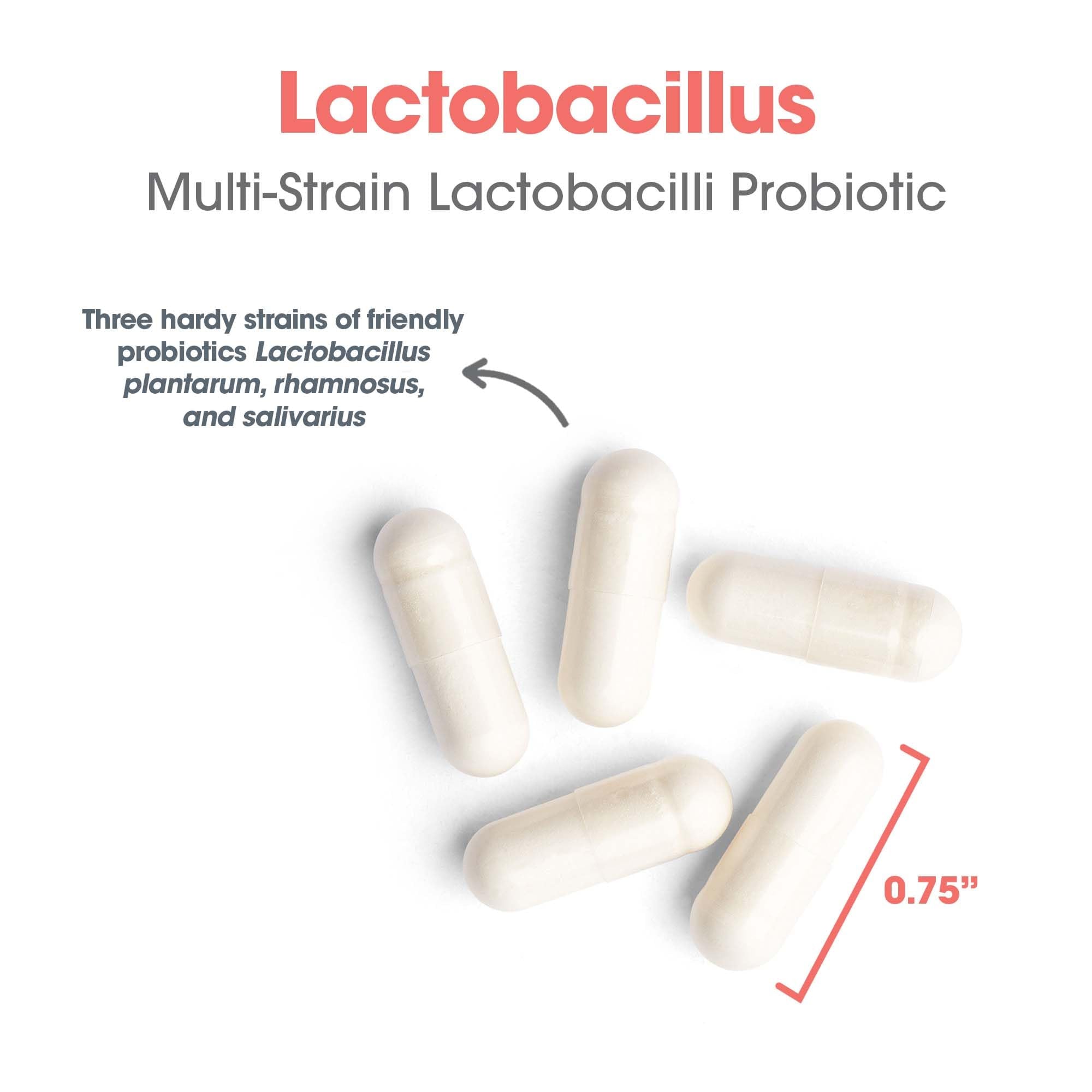 Allergy Research Group Lactobacillus Supplement - Probiotics for Men & Women, Digestive Health, Gut Health, Vegetarian Capsules - 100 Count - TrustMedUSA