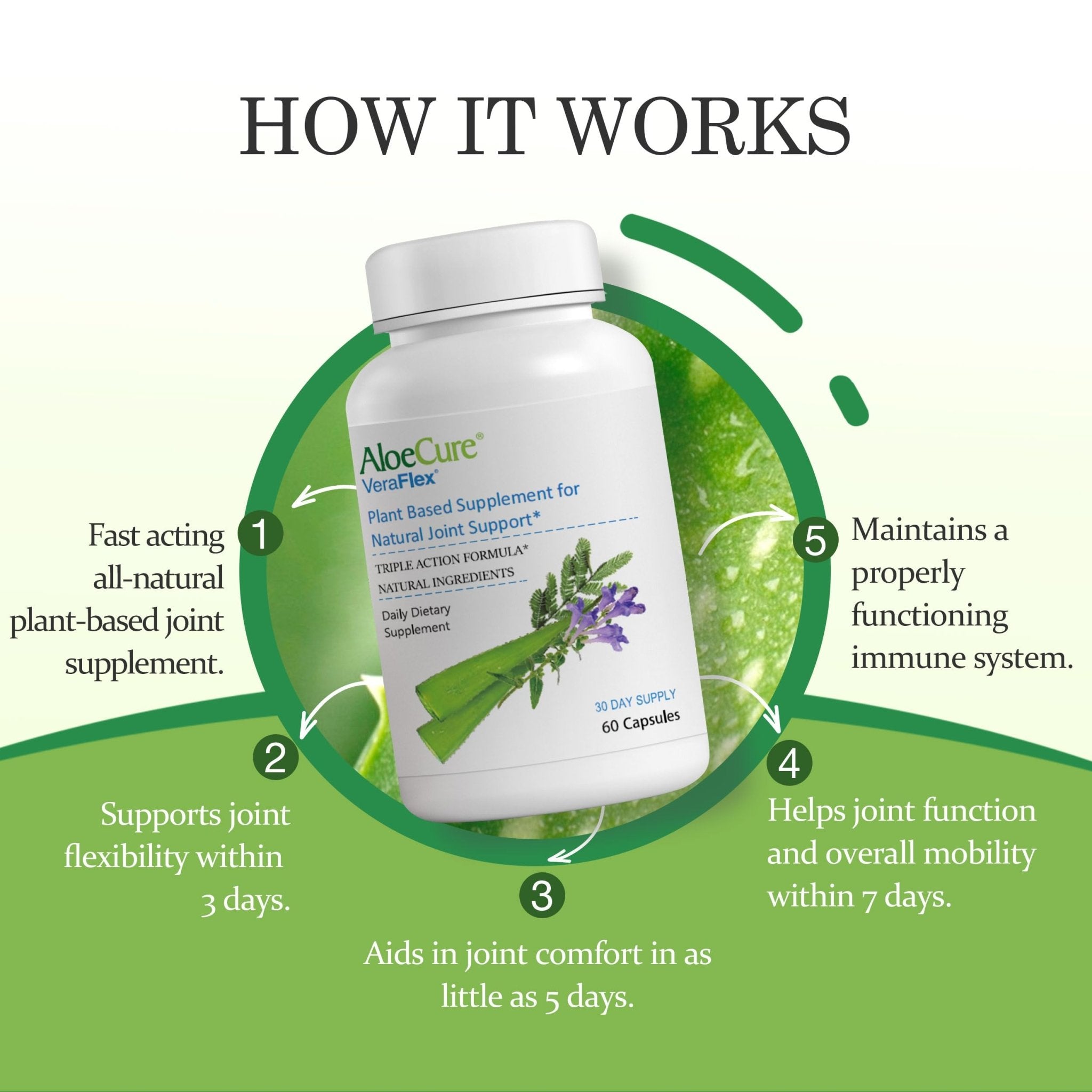 AloeCure VeraFlex Natural Joint Health, 60 Capsules, Clinically Tested Natural Plant-Based Formula to Support Comfort, Mobility and Flexibility - Featuring Organic Aloe Vera - TrustMedUSA