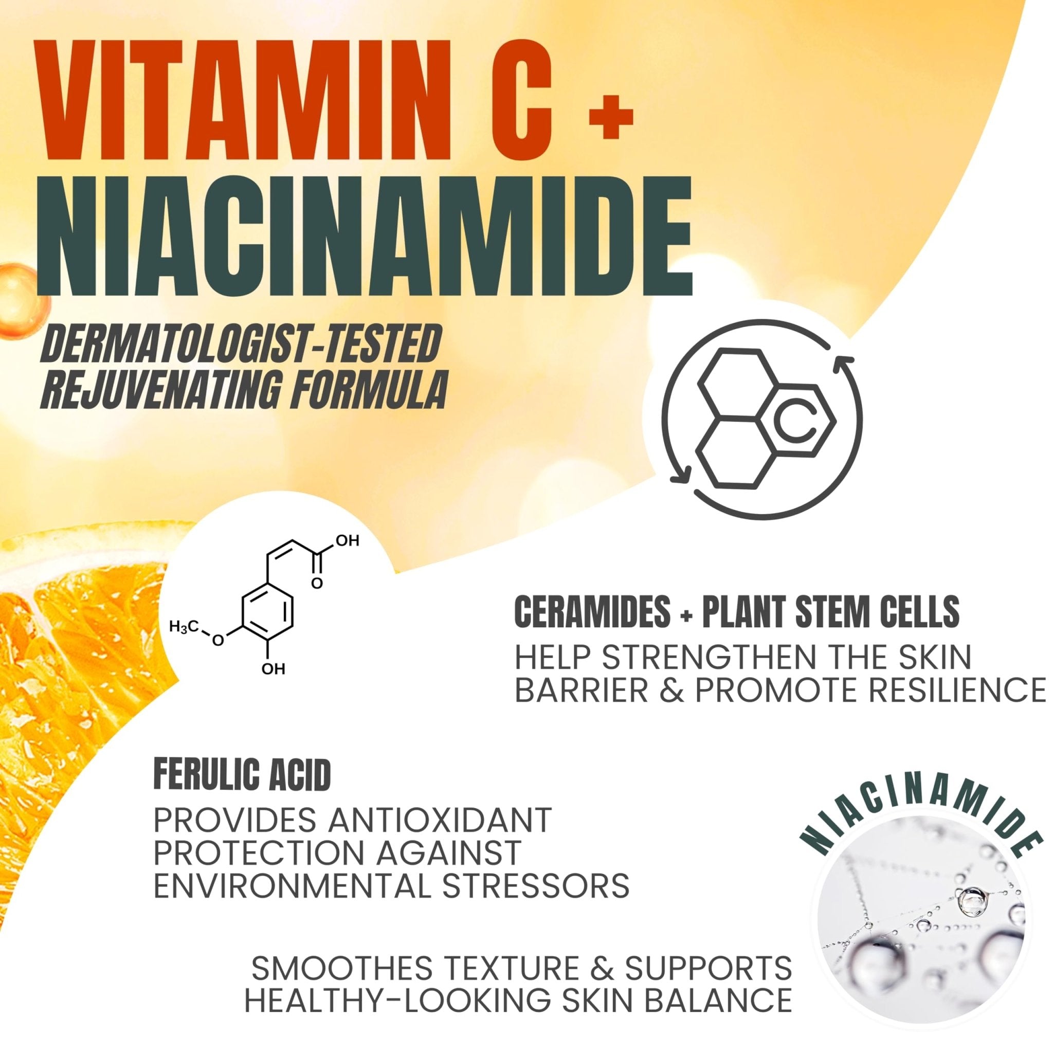 Alozera Vitamin C Facial Serum with Niacinamide & Ferulic Acid, Anti-Aging Serum for Visible Brightening, Glowing & Radiant Skin, Concentrated, Gentle & Effective, Day & Night - Maple Wellness Supplements