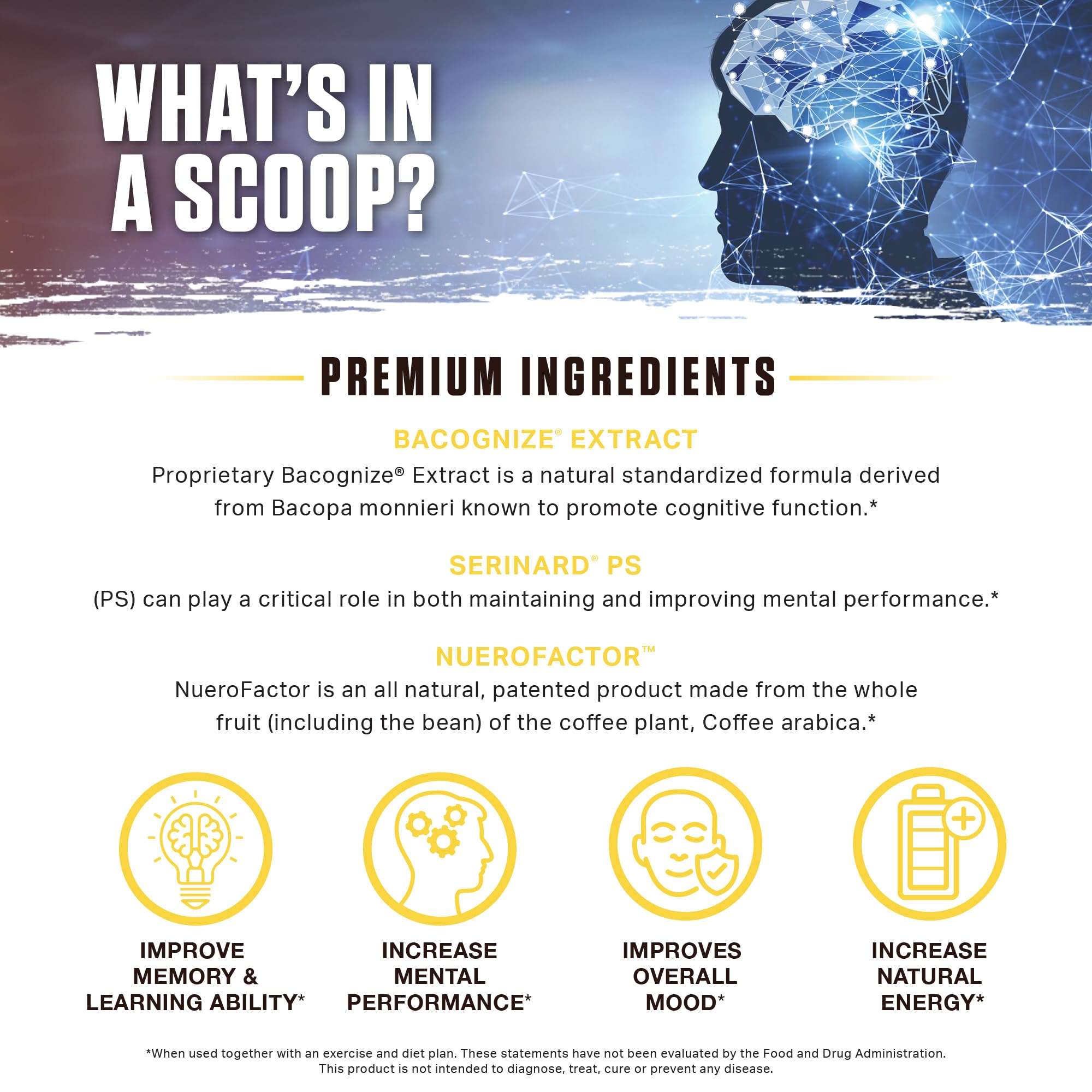 Ambrosia Mental Jewels Nootropic Brain Supplement Powder | Alpha GPC, Bacopa & Phosphatidylserine | Memory, Focus & Concentration Support | 30 Servings | Cherry Limeade - TrustMedUSA