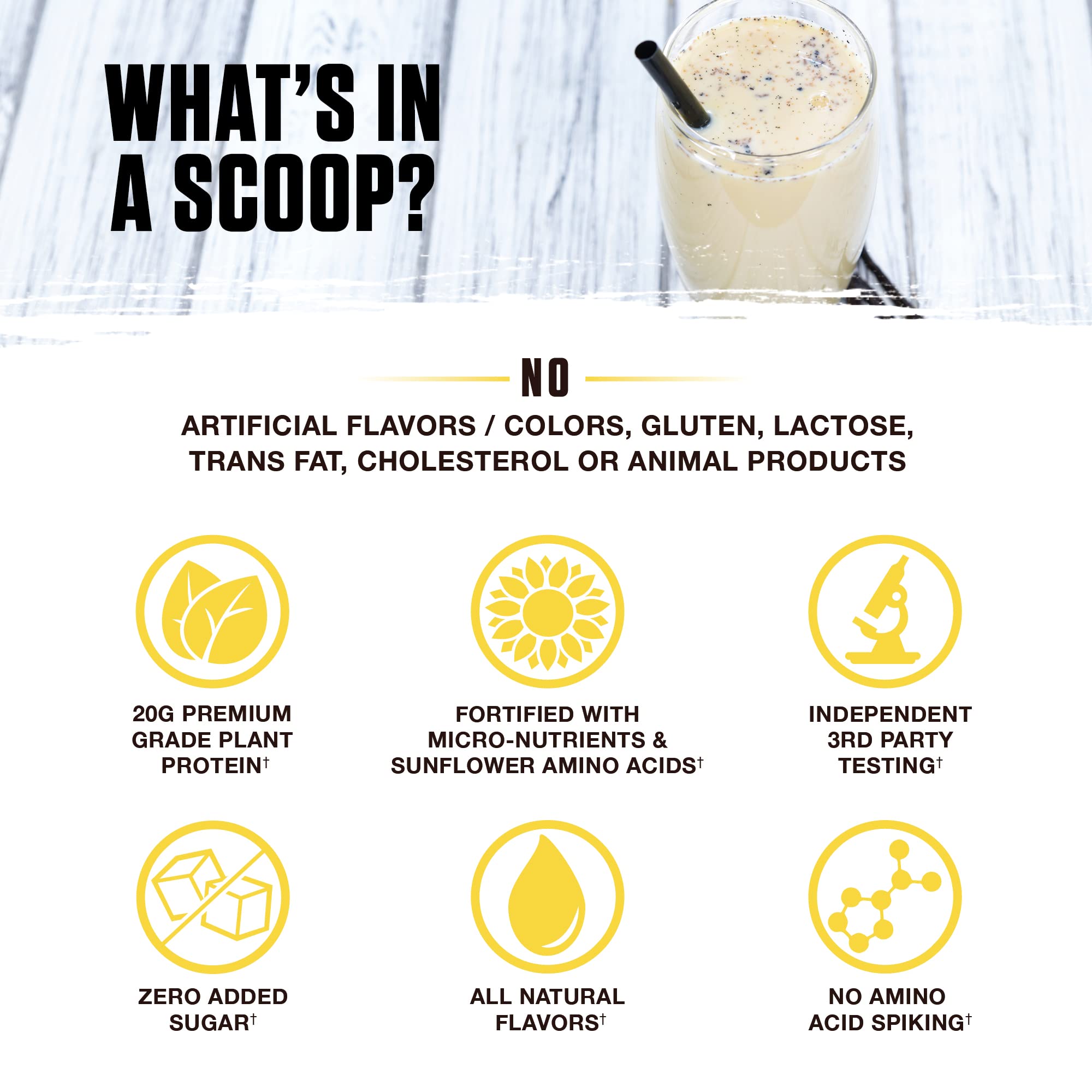 Ambrosia Plant Based Protein Powder 20g | Clean Vegan Pea Protein Powder | Gluten & Dairy Free, Keto Friendly, No Added Sugar | 14 Servings | Vanilla - Maple Wellness Supplements