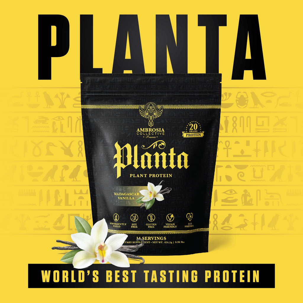 Ambrosia Plant Based Protein Powder 20g | Clean Vegan Pea Protein Powder | Gluten & Dairy Free, Keto Friendly, No Added Sugar | 14 Servings | Vanilla - Maple Wellness Supplements