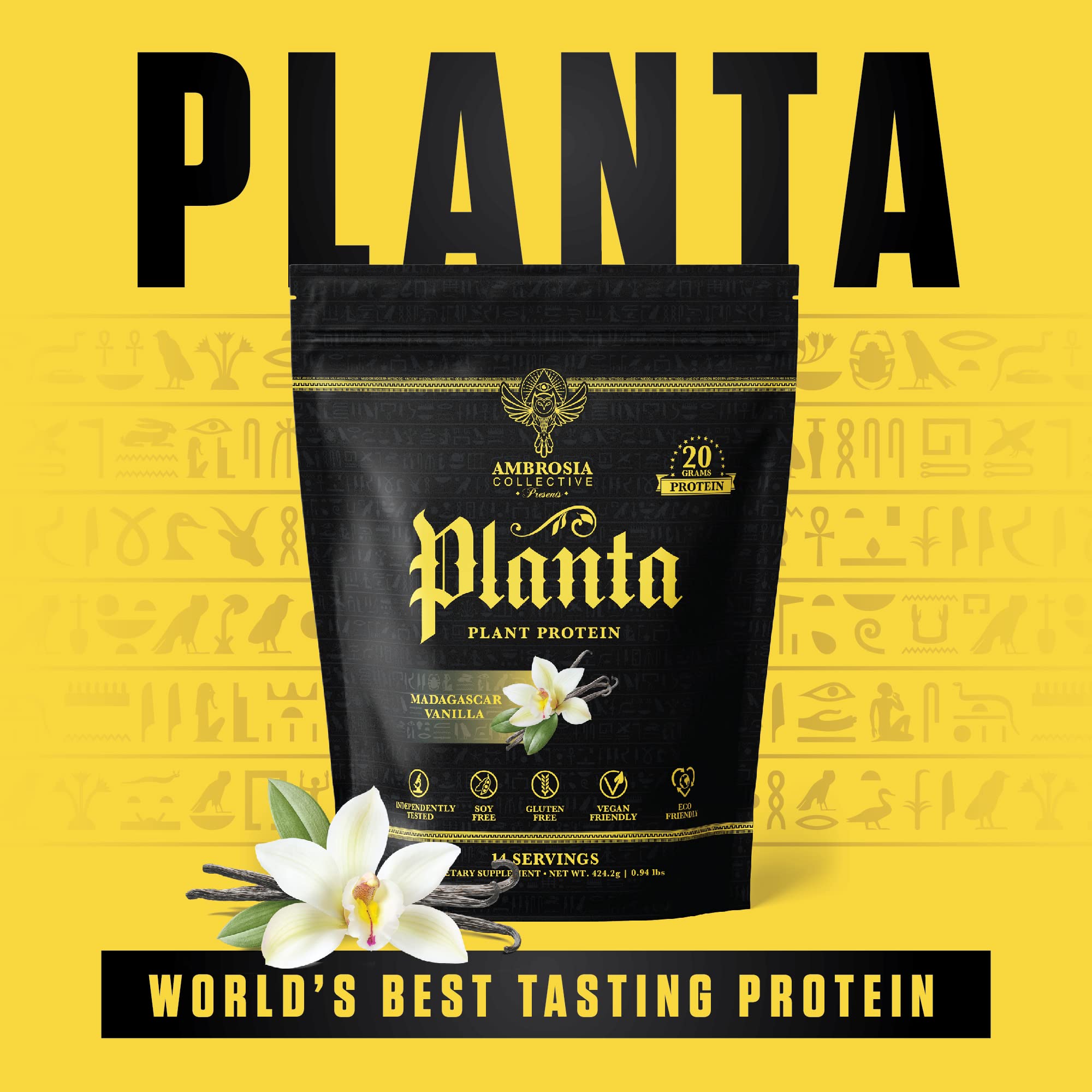 Ambrosia Plant Based Protein Powder 20g | Clean Vegan Pea Protein Powder | Gluten & Dairy Free, Keto Friendly, No Added Sugar | 14 Servings | Vanilla - Maple Wellness Supplements