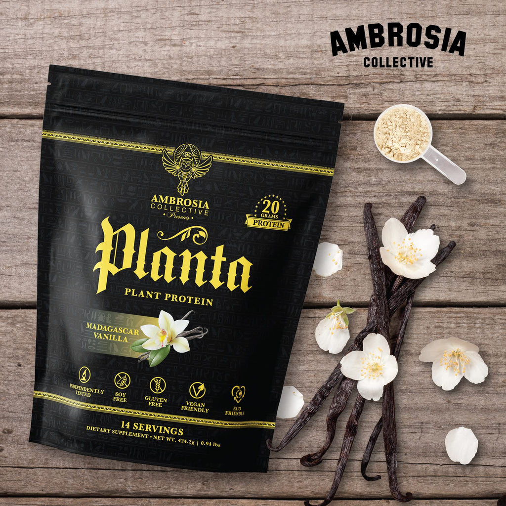 Ambrosia Plant Based Protein Powder 20g | Clean Vegan Pea Protein Powder | Gluten & Dairy Free, Keto Friendly, No Added Sugar | 14 Servings | Vanilla - Maple Wellness Supplements