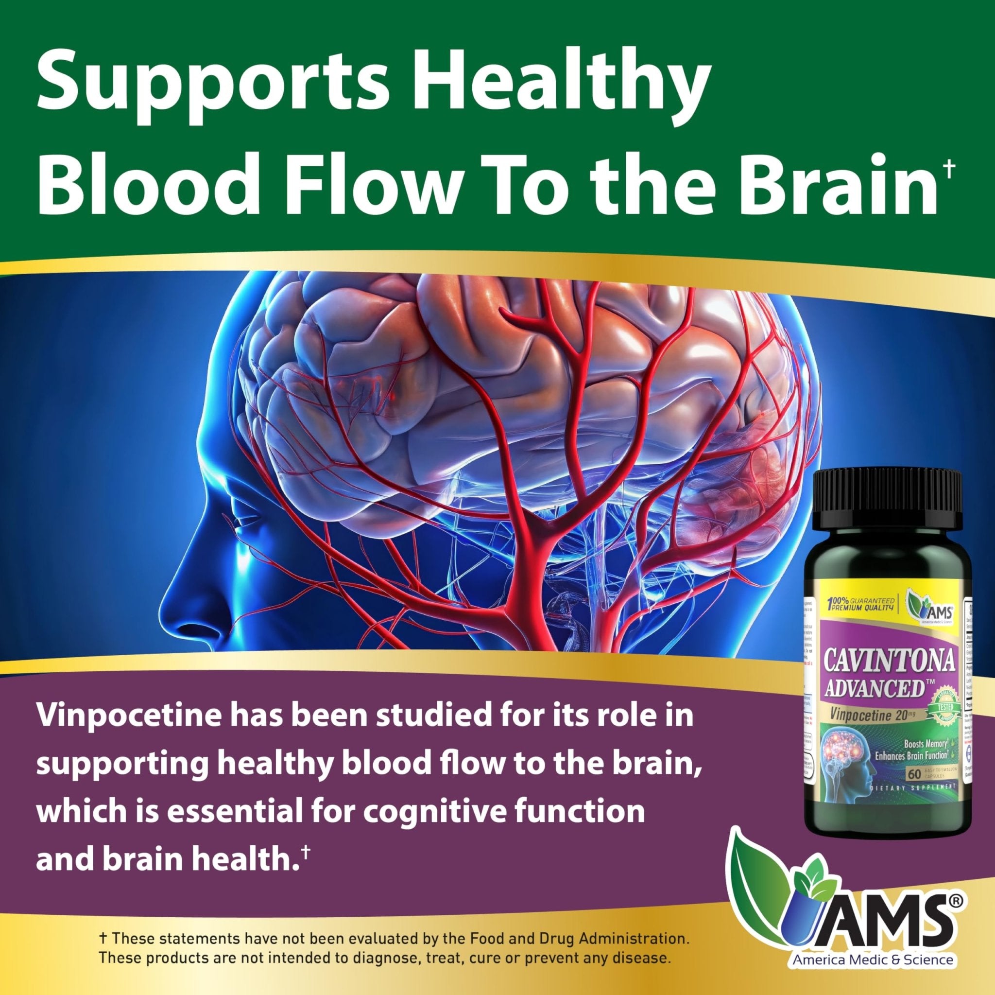 America Medic & Science Cavintona Advanced Supplement – Vinpocetine 20mg for Memory, Recall & Brain Health – Supports Cognitive Function, Focus, Mental Clarity & Blood Flow – 60 Capsules - TrustMedUSA