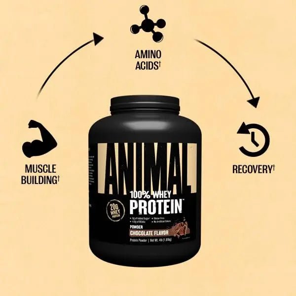 Animal 100% Whey Protein Powder – Whey Blend for Pre- or Post-Workout, Recovery - TrustMedUSA