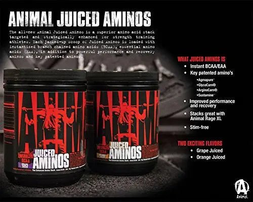 Animal Creatine Chews Tablets - Enhanced Creatine Monohydrate with AstraGin to Improve - TrustMedUSA