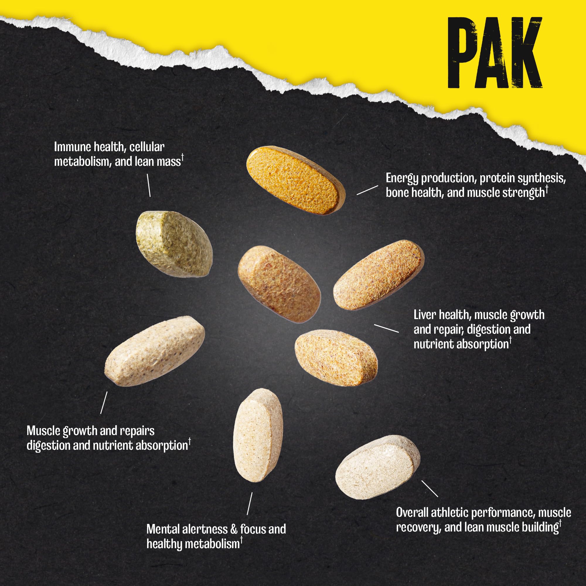 Animal Pak - Convenient Multivitamin for Men & Women Daily All-in-One Vitamin & Supplement Pack - Zinc, Vitamins C, B, D, Amino Acids, and Immune Support - Sports Nutrition Performance - 44 Count - TrustMedUSA
