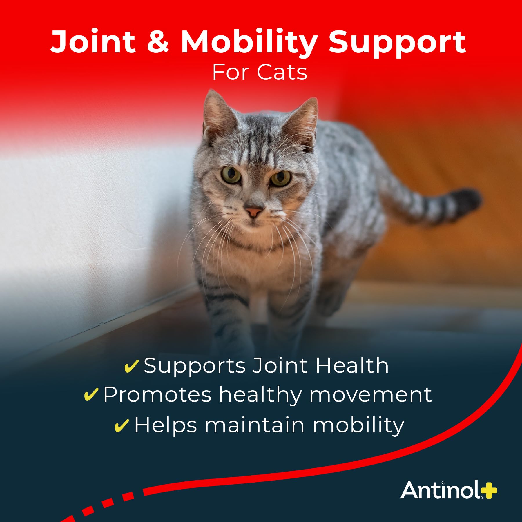 Antinol Plus, Mobility, Hip, and Joint Supplement for Cats, Green-Lipped Mussels and Krill Oil - Cat Joint Supplement, 60 Soft Gels - TrustMedUSA