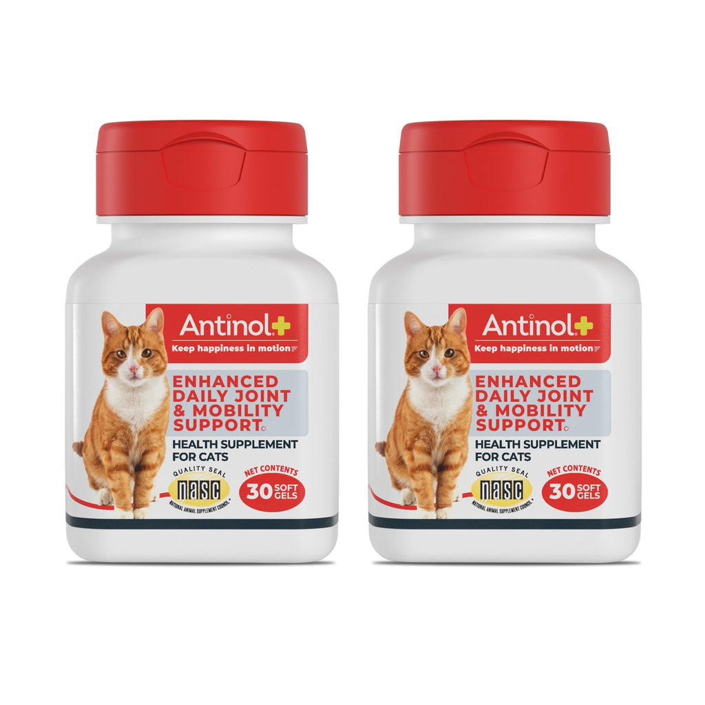 Antinol Plus, Mobility, Hip, and Joint Supplement for Cats, Green-Lipped Mussels and Krill Oil - Cat Joint Supplement, 60 Soft Gels - TrustMedUSA