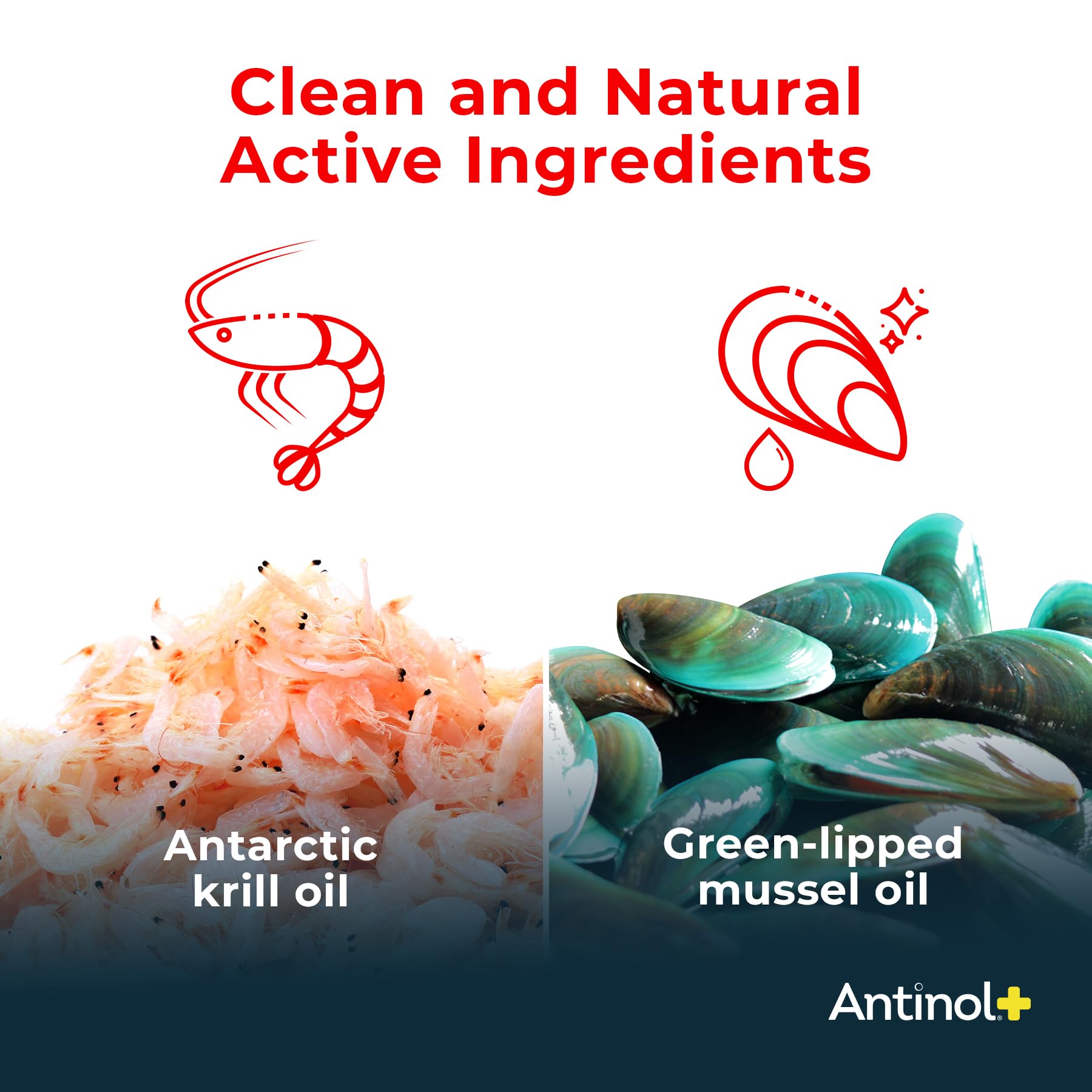 Antinol Plus, Mobility, Hip, and Joint Supplement for Cats, Green-Lipped Mussels and Krill Oil - Cat Joint Supplement, 60 Soft Gels - TrustMedUSA