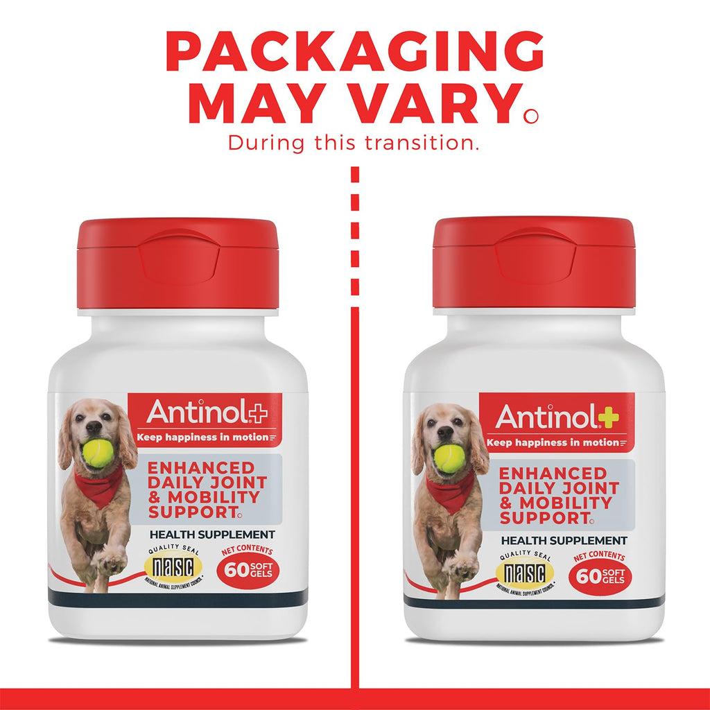 Antinol Plus, Mobility, Hip, and Joint Supplement for Dogs, Green-Lipped Mussels and Krill Oil - Dog Joint Supplement, Better and Faster Than Glucosamine and Chondroitin, 120 Soft Gels - TrustMedUSA