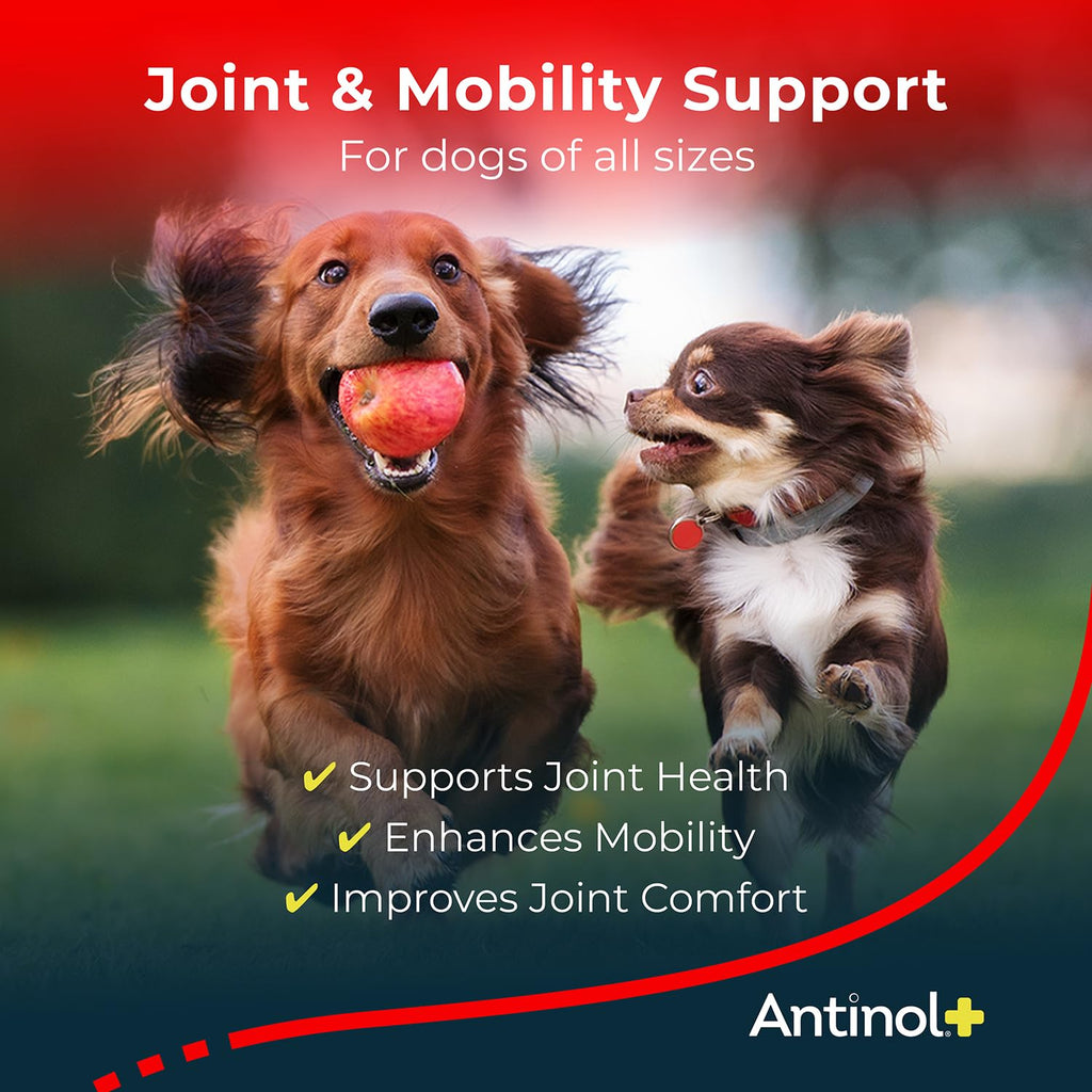 Antinol Plus, Mobility, Hip, and Joint Supplement for Dogs, Green-Lipped Mussels and Krill Oil - Dog Joint Supplement, Better and Faster Than Glucosamine and Chondroitin, 120 Soft Gels - TrustMedUSA
