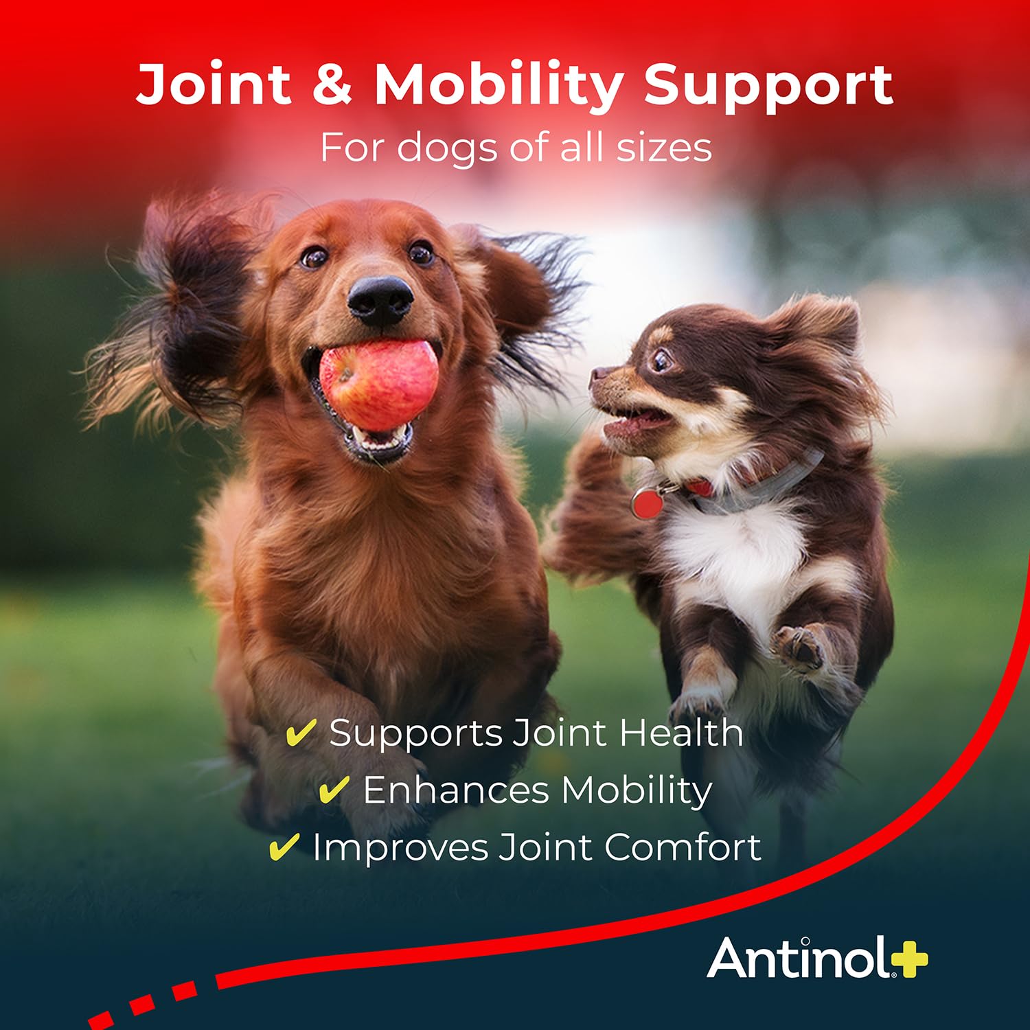 Antinol Plus, Mobility, Hip, and Joint Supplement for Dogs, Green-Lipped Mussels and Krill Oil - Dog Joint Supplement, Better and Faster Than Glucosamine and Chondroitin, 120 Soft Gels - TrustMedUSA