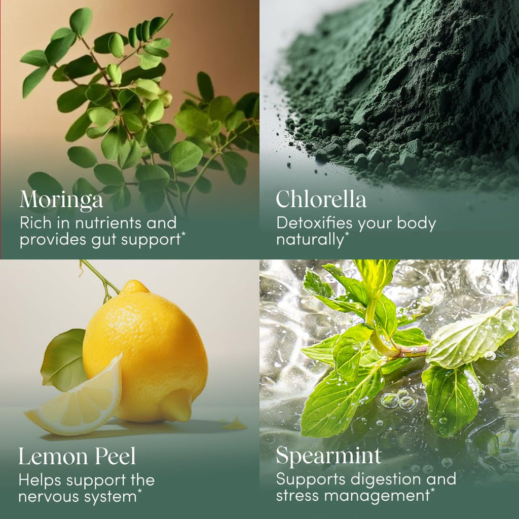 Apothékary Your Wildest Greens Herbal Liquid Drops, All-in-One Daily Superfood Supplement, Vitamin & Mineral Support, 5X Potency of Greens Powders, Sugar Free, Calorie Free, (15 Servings) 1.22oz - TrustMedUSA