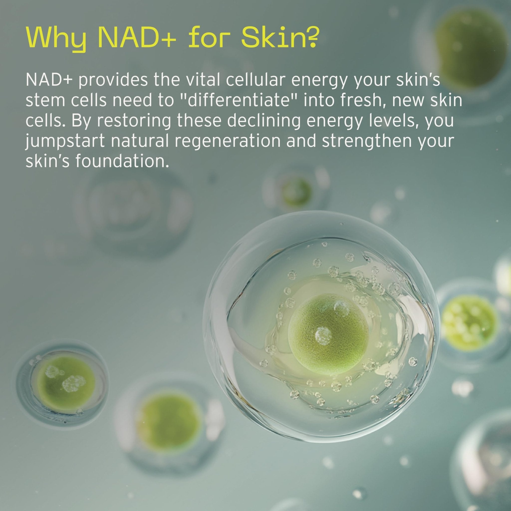 Aramore NAD+ Cell Energizing Skin Care Treatment with Proprietary NAD+ Precursor Complex, Clinically Proven to Target 12 Signs of Aging - 15ml - TrustMedUSA