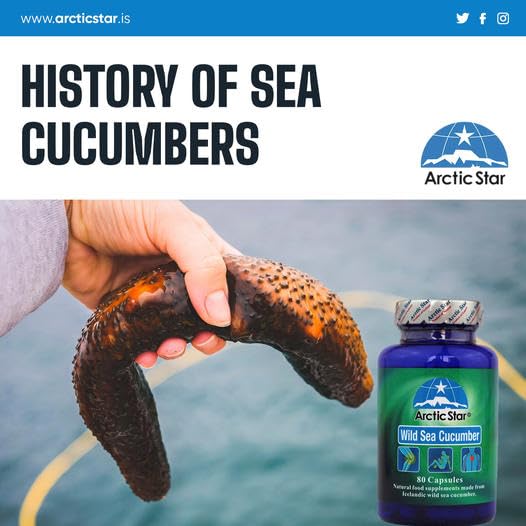 Arctic Star - Sea Cucumber Capsules - Natural Pure Iceland Atlantic Wild Caught Sea Cucumber Extract Supplement Pills - Joint Health t & Immune Health 400mg 80 Capsules/Bottle - TrustMedUSA