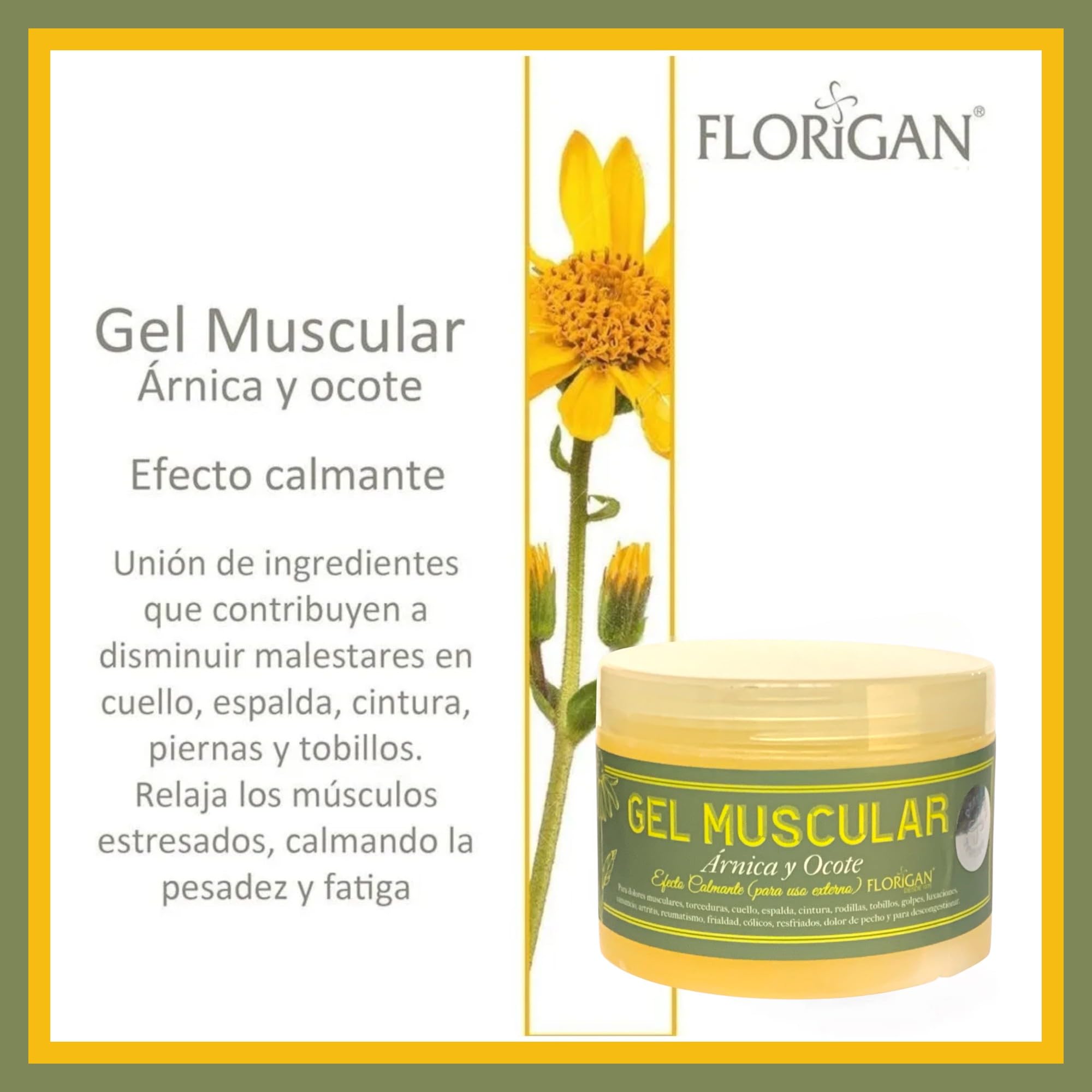 Arnica and Ocote Muscle Gel 350grs. - TrustMedUSA