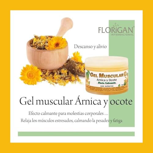 Arnica and Ocote Muscle Gel 350grs. - TrustMedUSA