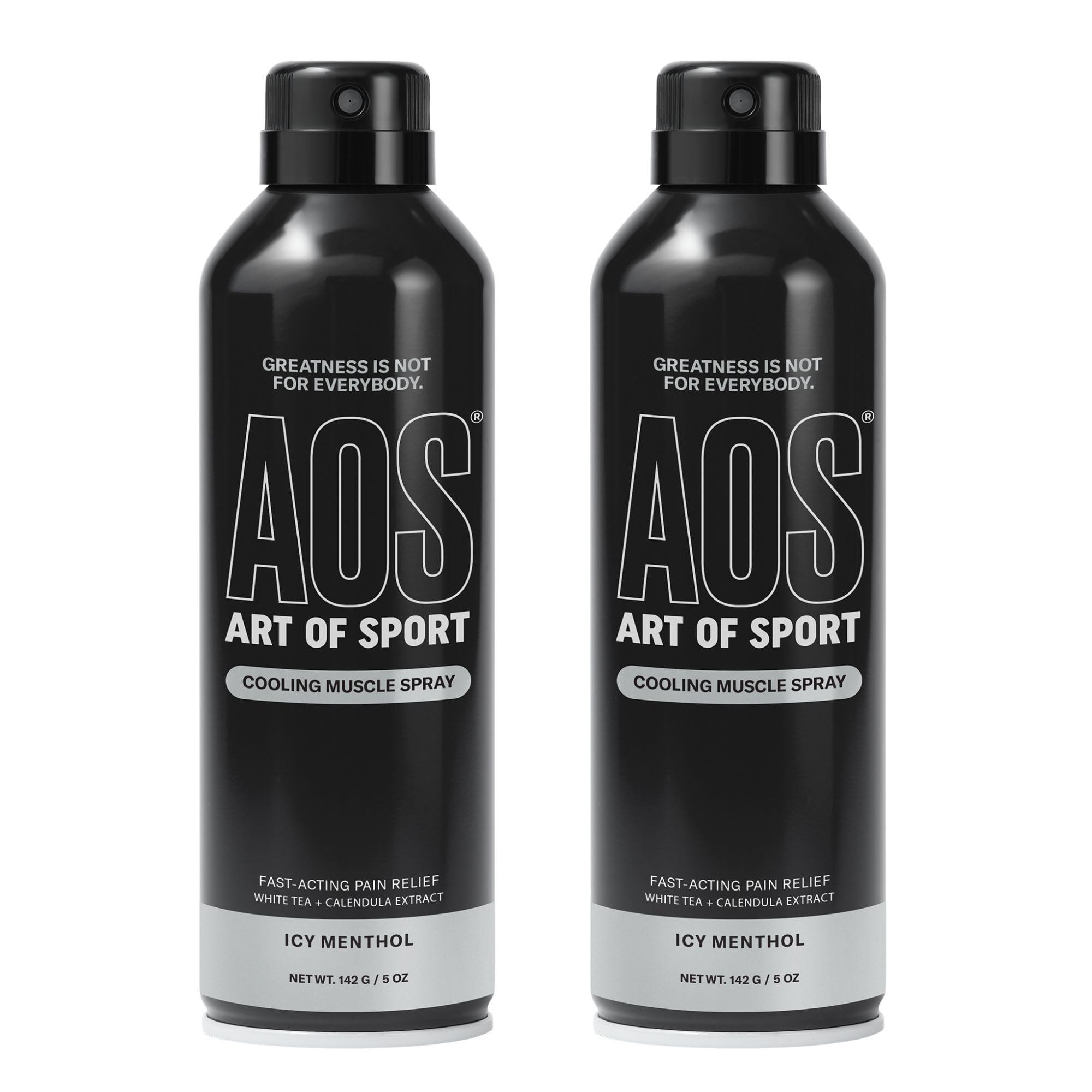 Art of Sport Muscle Relief Spray for Men – Cooling Menthol Pain Relief for Sore Muscles & Joints – Back, Neck, Knee, Shoulder, Hip – Fast-Acting Body Spray – Made for Athletes – 5 fl oz (2-Pack) - TrustMedUSA