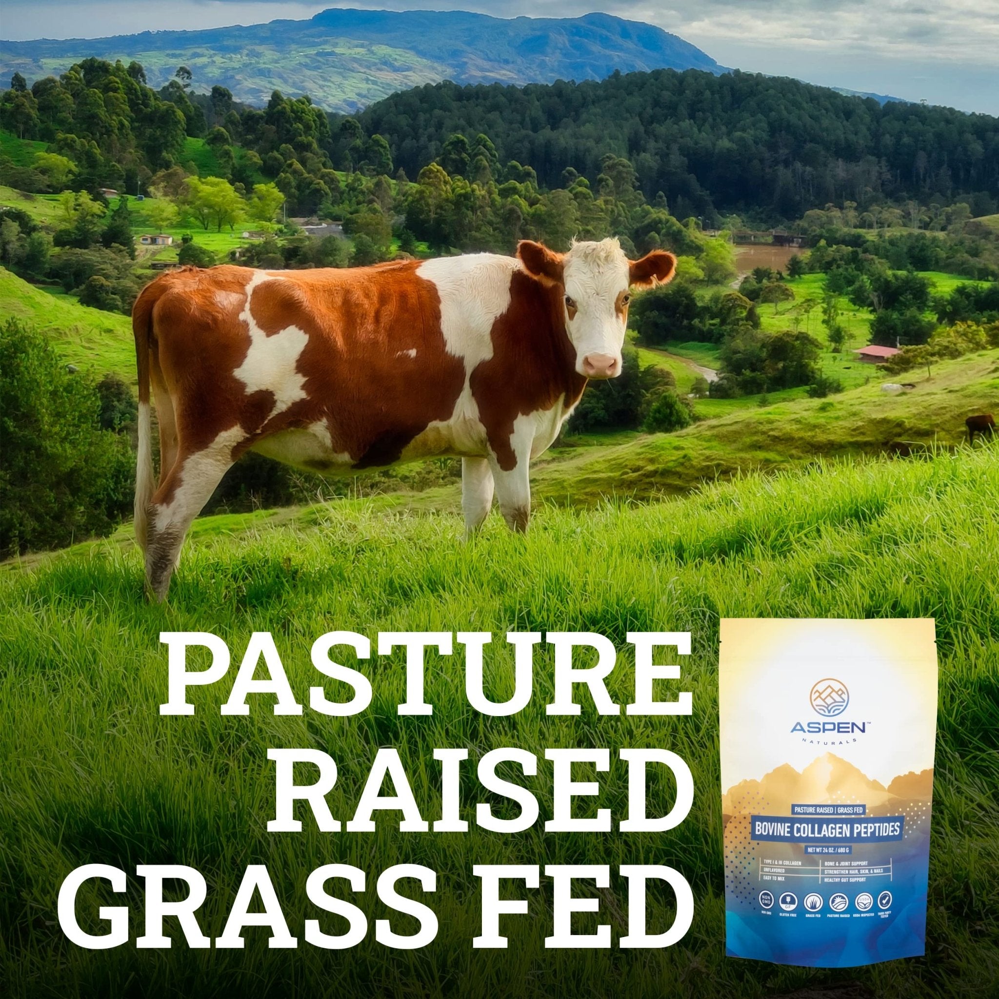 ASPEN NATURALS Grass fed Bovine Collagen Peptides Powder 3lb - Collagen for Women, USA Sourced from USDA Inspected Cattle, Gluten Free, Paleo Friendly, Water Soluble, Flavorless, Easily Mixes - Maple Wellness Supplements