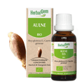 Aulne BIO Macerat mère bourgeons Flacon 30 ml HERBALGEM - TrustMedUSA