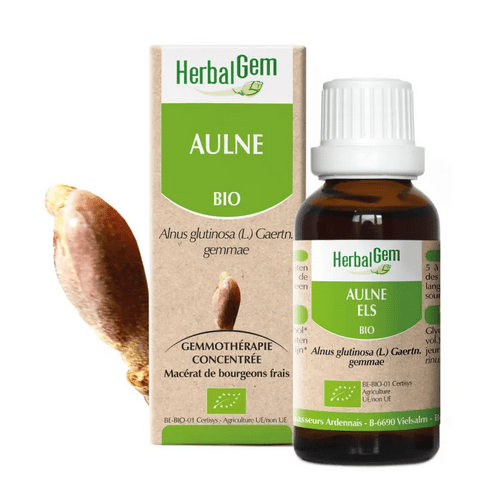 Aulne BIO Macerat mère bourgeons Flacon 30 ml HERBALGEM - TrustMedUSA