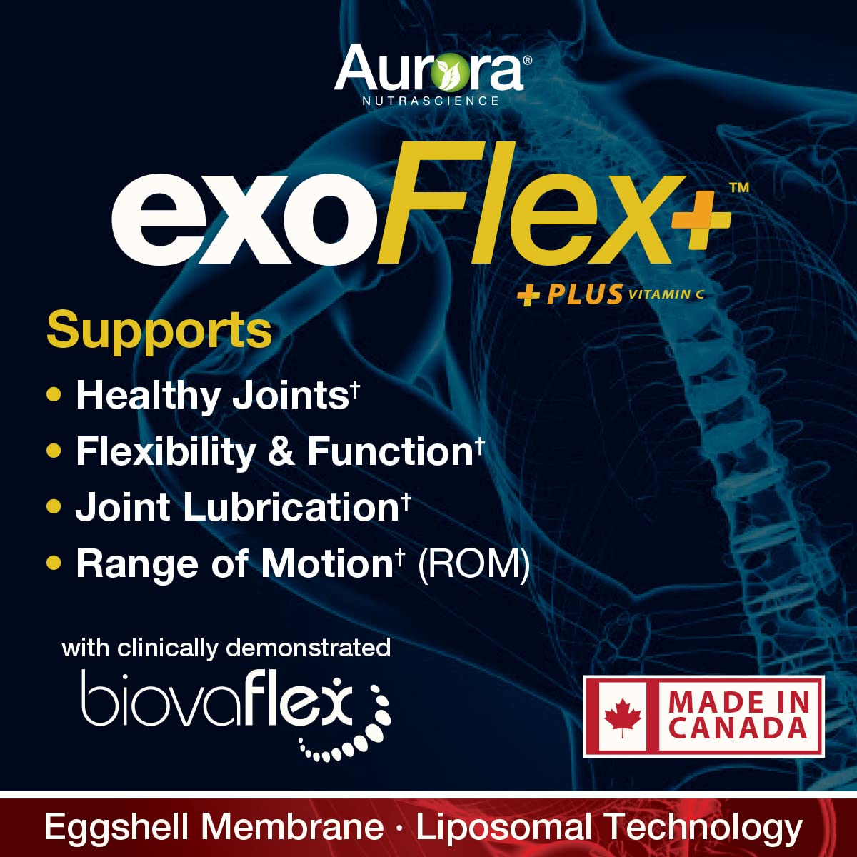 Aurora Nutrascience Micro-Pack Liposomal exoFlex+ with Vitamin C, Supports Joint Flexibility & Function, BiovaFlex Eggshell Membrane, Curcumin & Boswellia, Strwaberry Flavor, 30 Servings, 10 fl oz - TrustMedUSA