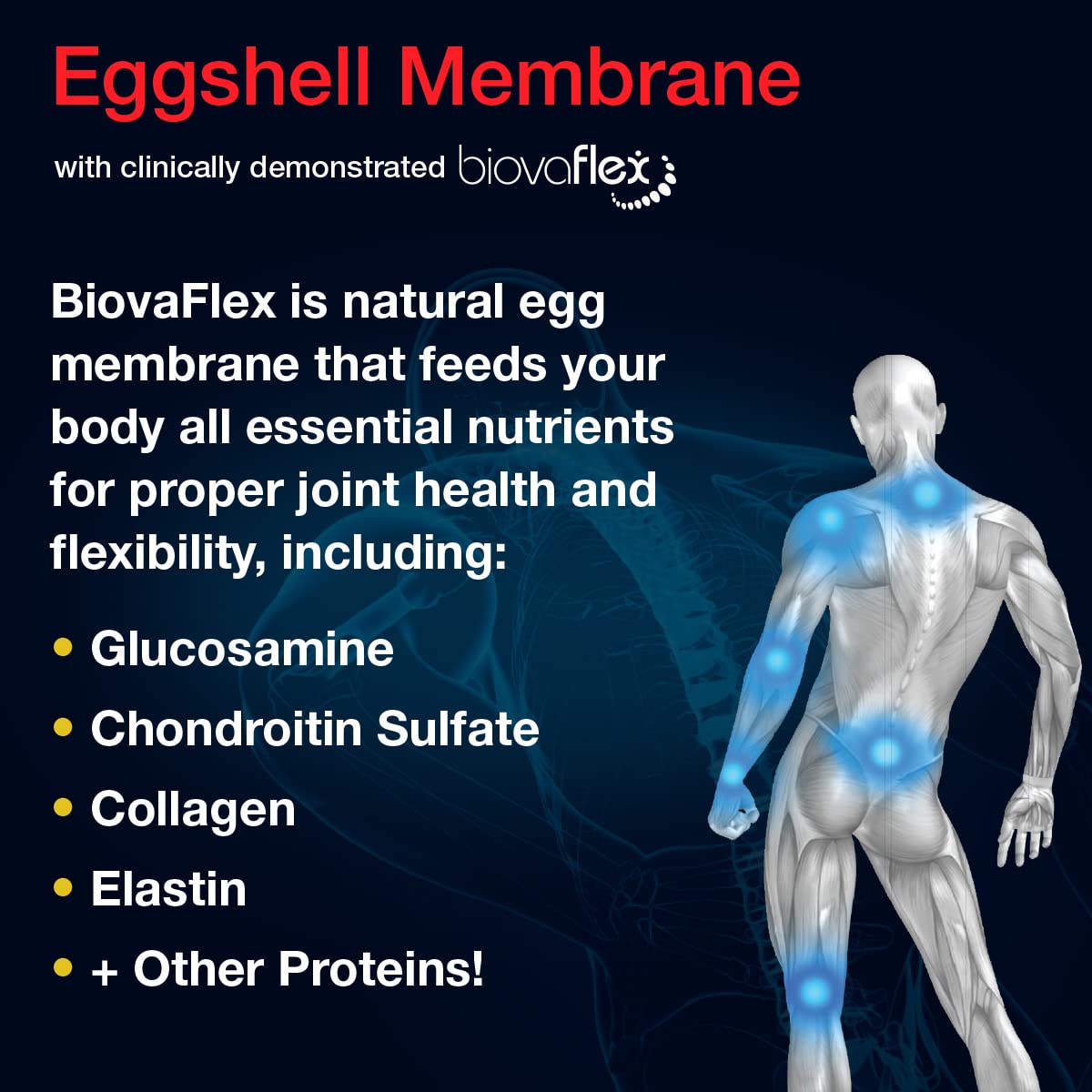 Aurora Nutrascience Micro-Pack Liposomal exoFlex+ with Vitamin C, Supports Joint Flexibility & Function, BiovaFlex Eggshell Membrane, Curcumin & Boswellia, Strwaberry Flavor, 30 Servings, 10 fl oz - TrustMedUSA