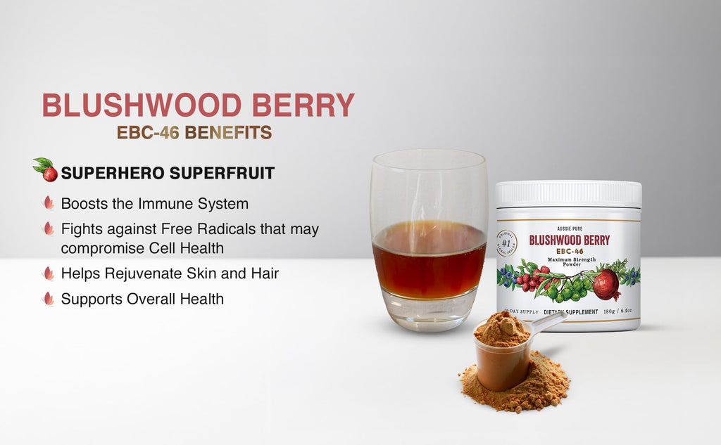 Aussie Pure Blushwood Berry Powder EBC-46 - Maximum Strength Immune and Cell Support - Contains The Fruit and Seed - 180g/6.4oz Per Container - TrustMedUSA