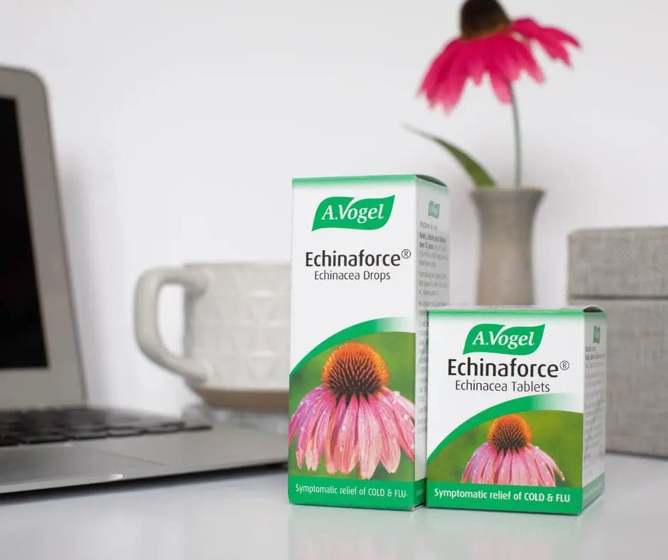 A.Vogel Echinaforce Echinacea Drops | Relieves Cold & Flu Symptoms by Strengthening - TrustMedUSA