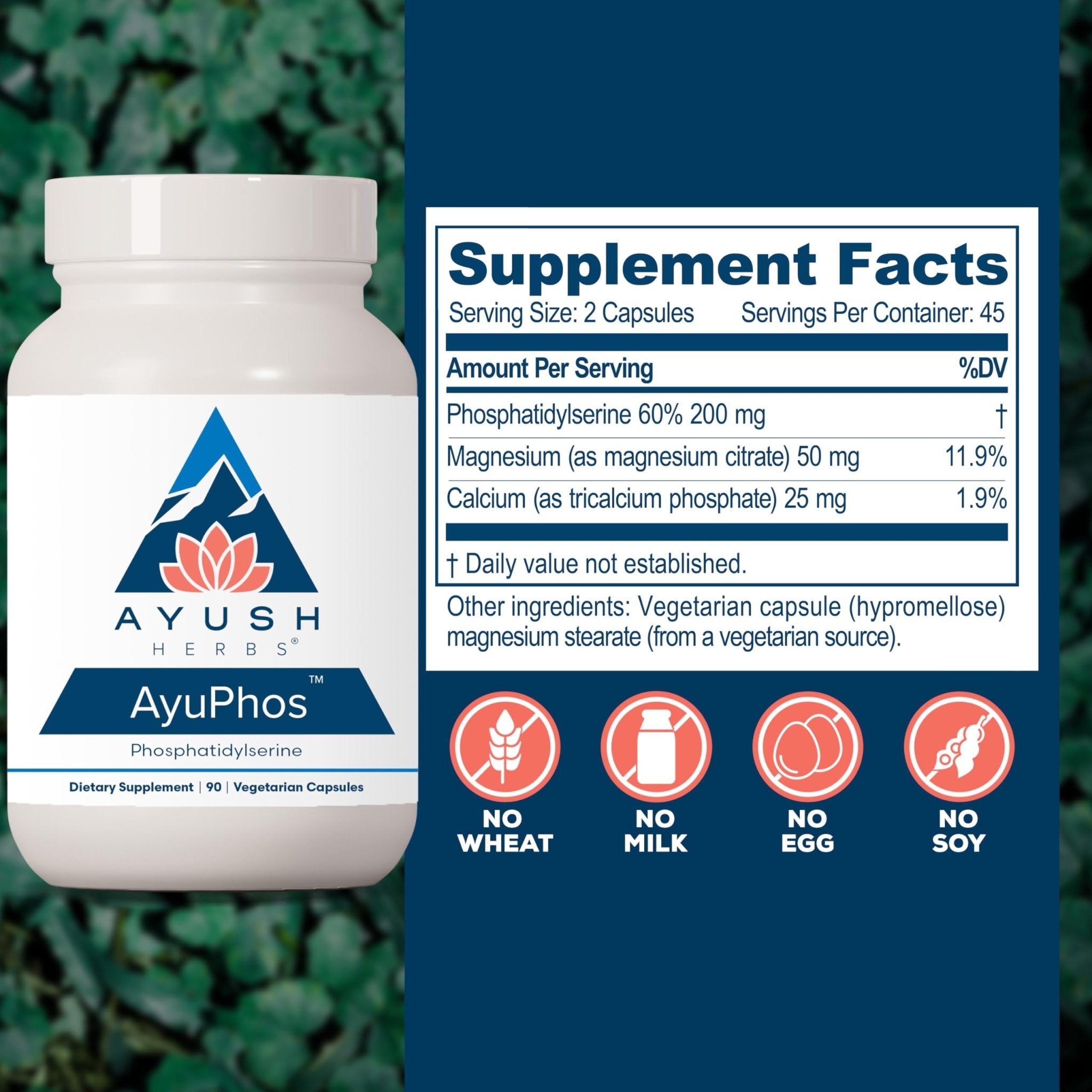 Ayush Herbs AyuPhos - Phosphatidylserine Supplement for Men & Women, Soy-Free Phosphatidyl Serine, Brain, Memory, & Cognitive Support for Adults, 200mg Per Pill - 45 Servings - TrustMedUSA
