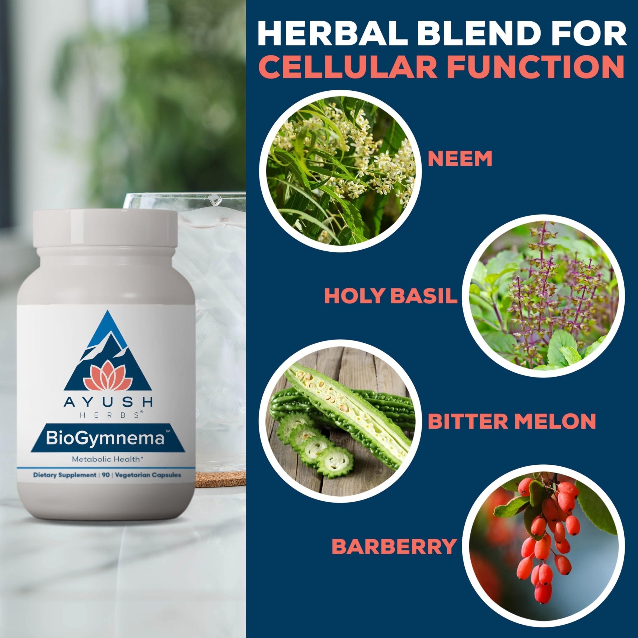 Ayush Herbs BioGymnema - Metabolic Vitamin & Herb Blend, Metabolic Health Supplement for Women & Men with Biotin, Berberine, Bitter Melon & Gymnema, Nutrient Support - 90 Servings - TrustMedUSA