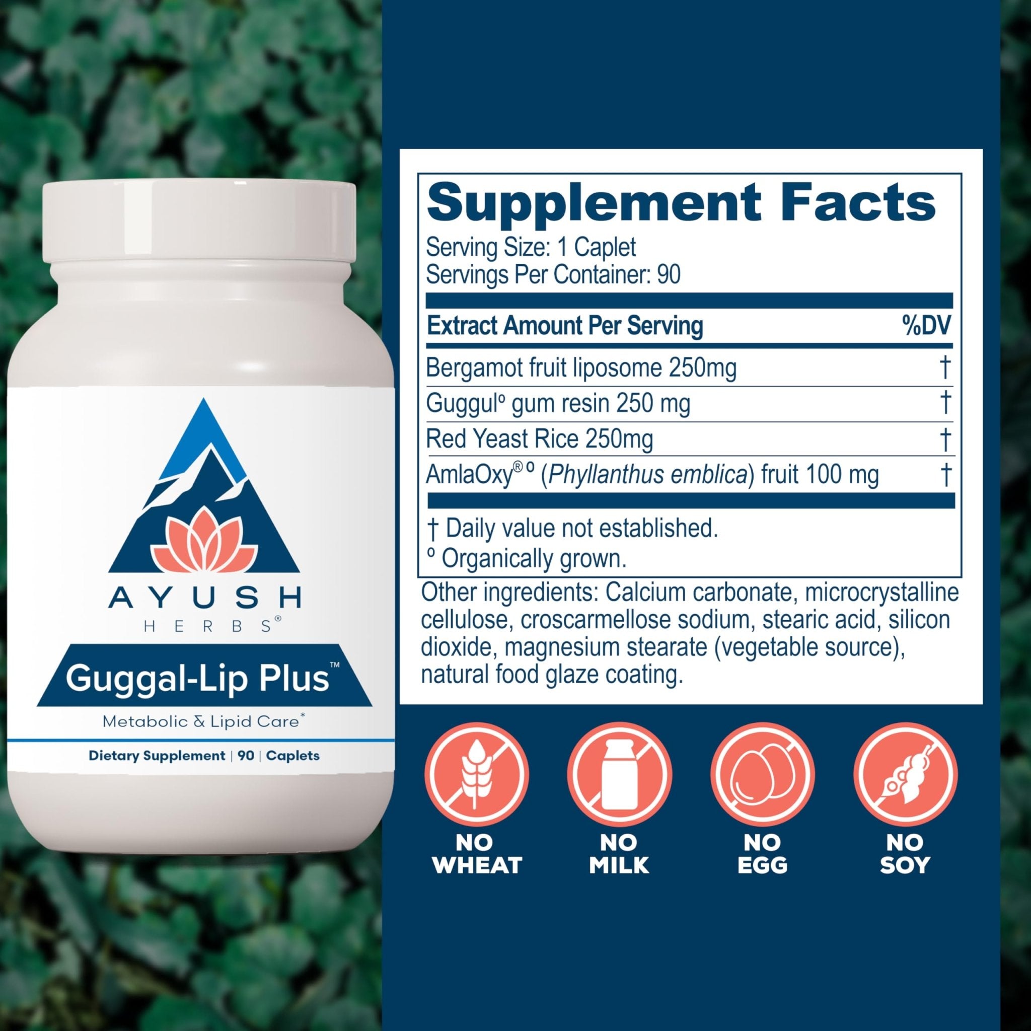 Ayush Herbs Guggal-Lip Plus - Metabolic Vitamins for Women & Men, Daily Pill, Pure & Natural Metabolic Health Supplement with Guggul - 90 Vegetarian Caplets (1 Count) - TrustMedUSA