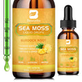 B BEWORTHS Sea Moss Liquid Drops - Organic Irish Sea Moss Gel with Burdock Root - TrustMedUSA