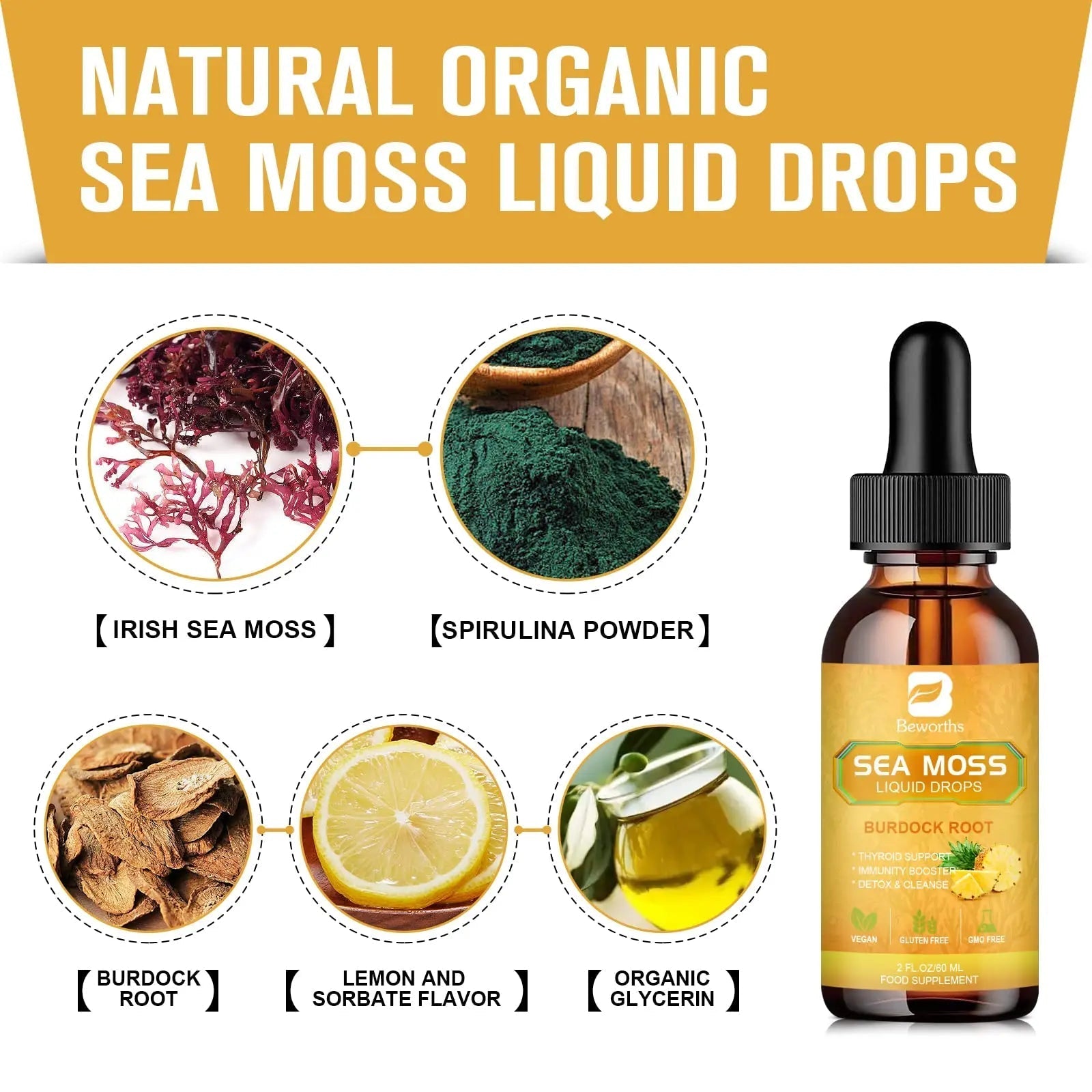 B BEWORTHS Sea Moss Liquid Drops - Organic Irish Sea Moss Gel with Burdock Root - TrustMedUSA