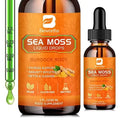 B BEWORTHS Sea Moss Liquid Drops - Organic Irish Sea Moss Raw Gel with Burdock Root - TrustMedUSA
