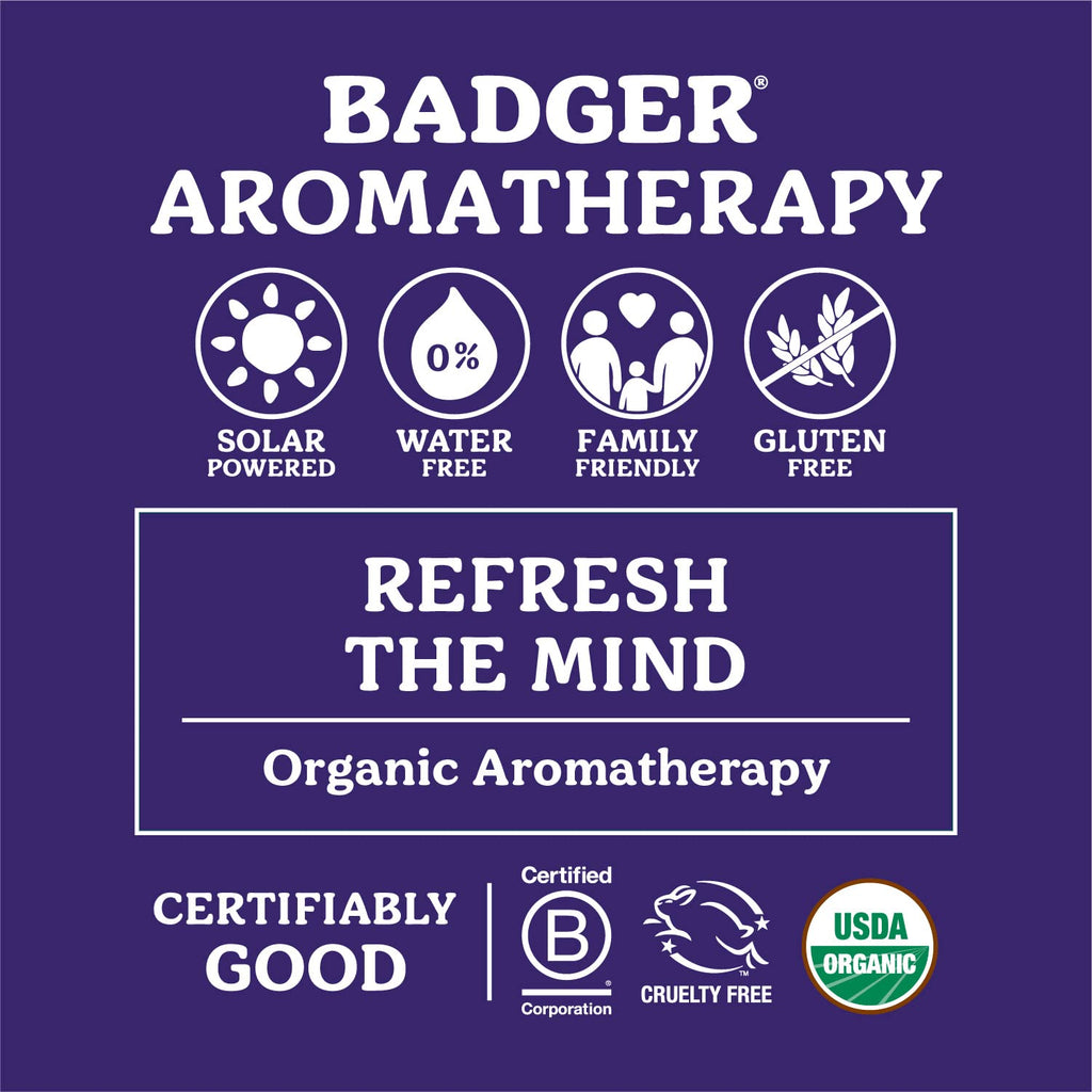 Badger Headache Soother - .6 oz Stick - TrustMedUSA