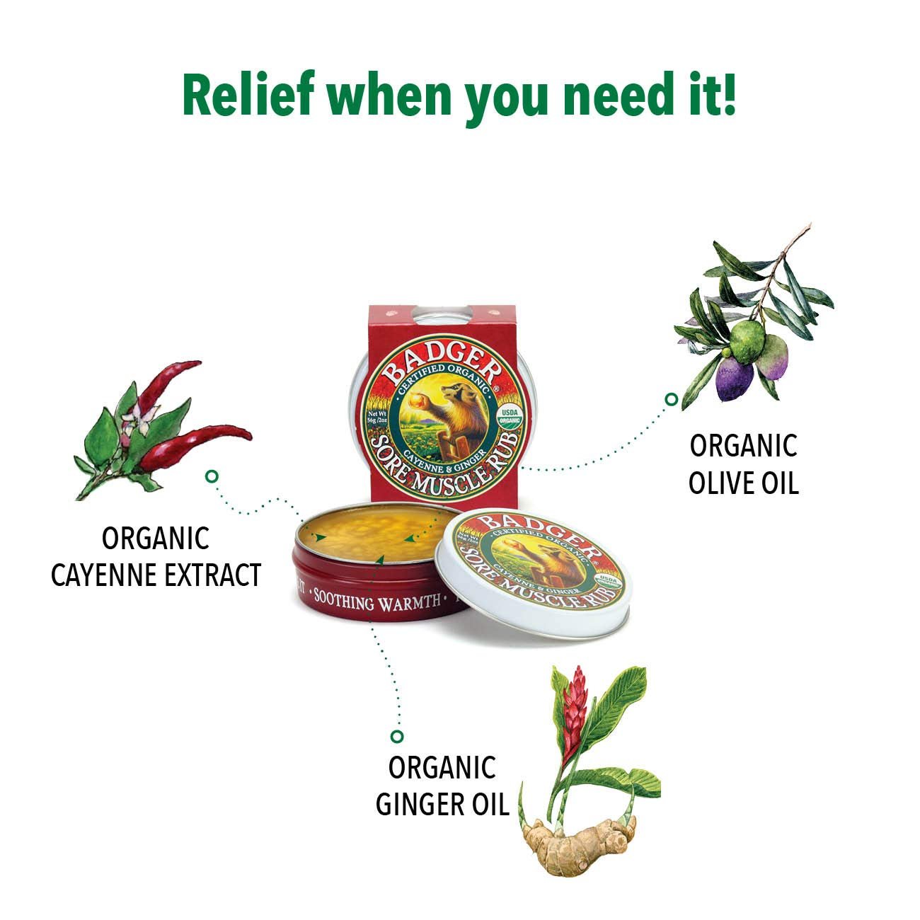 Badger Sore Muscle Rub Tin, Cayenne & Ginger, 2 oz (1 Pack) - TrustMedUSA