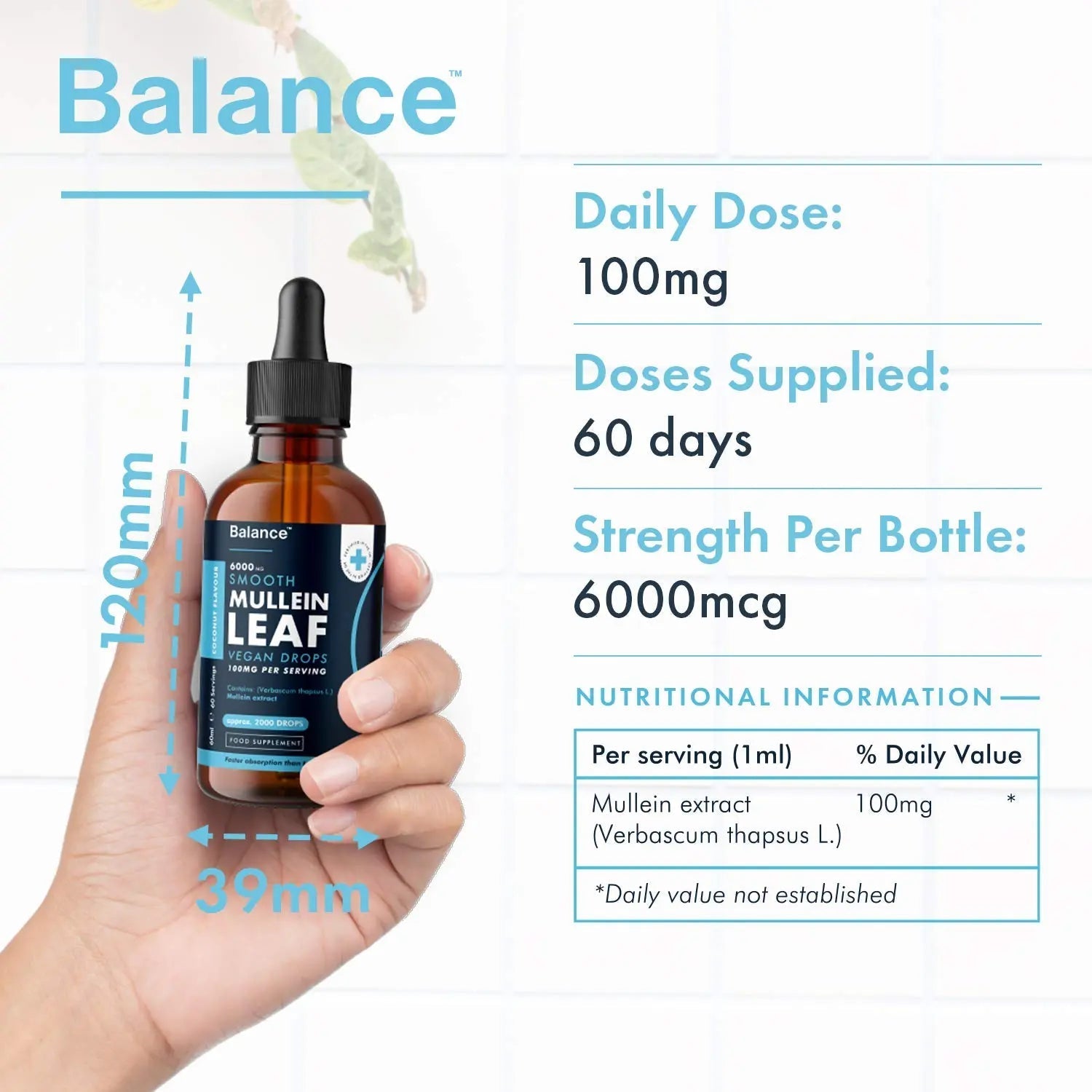 Balance Mullein Leaf Liquid Drops - 60ml for 2 Month Supply - High Strength - Vegan - TrustMedUSA