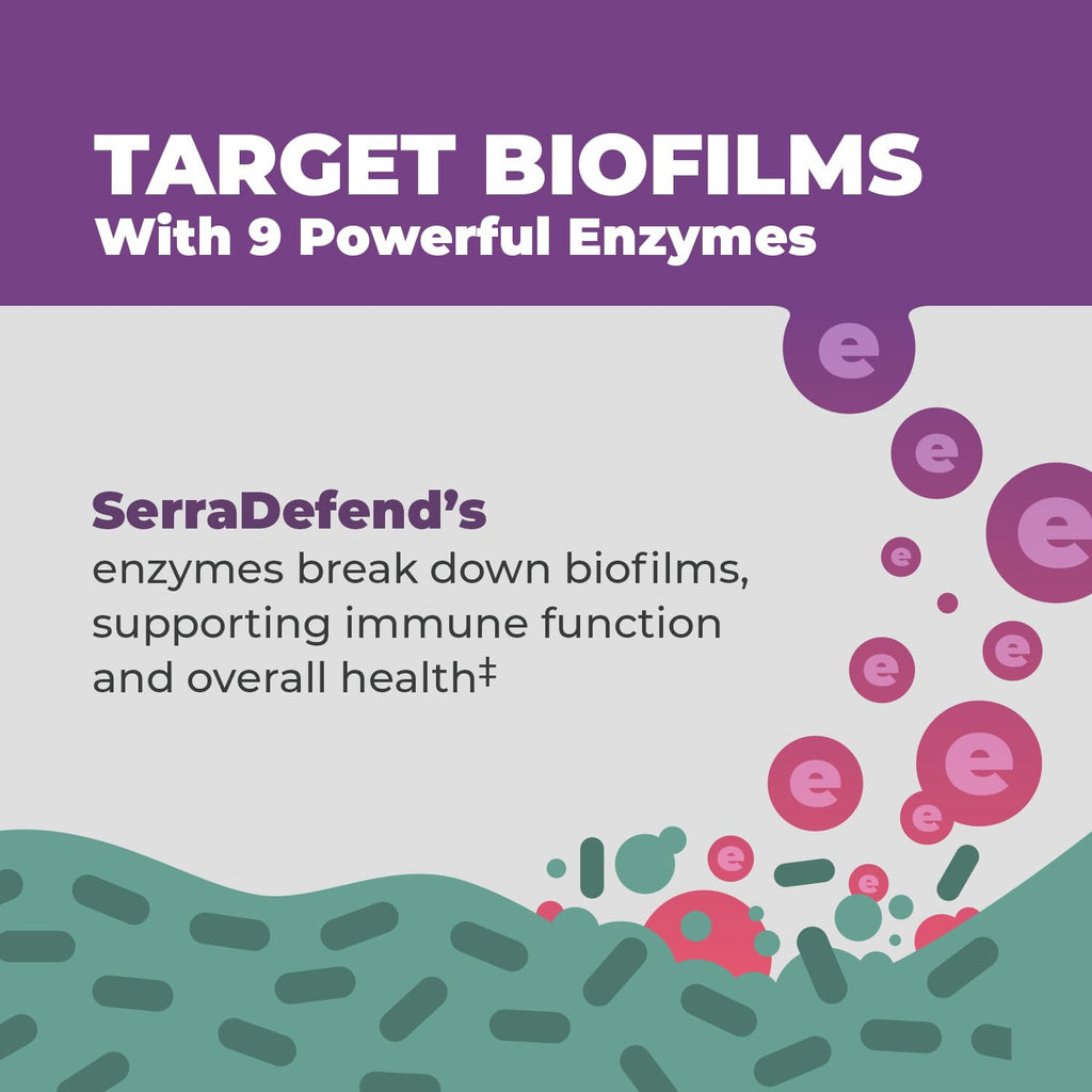 Balance ONE Biofilm Disruptor – Proteolytic Enzymes & Defense Supplement with Serrapeptase & Nattokinase – Systemic & Digestive Support – 60 Capsules, 2 Month Supply – for Women & Men – SerraDefend - Maple Wellness Supplements