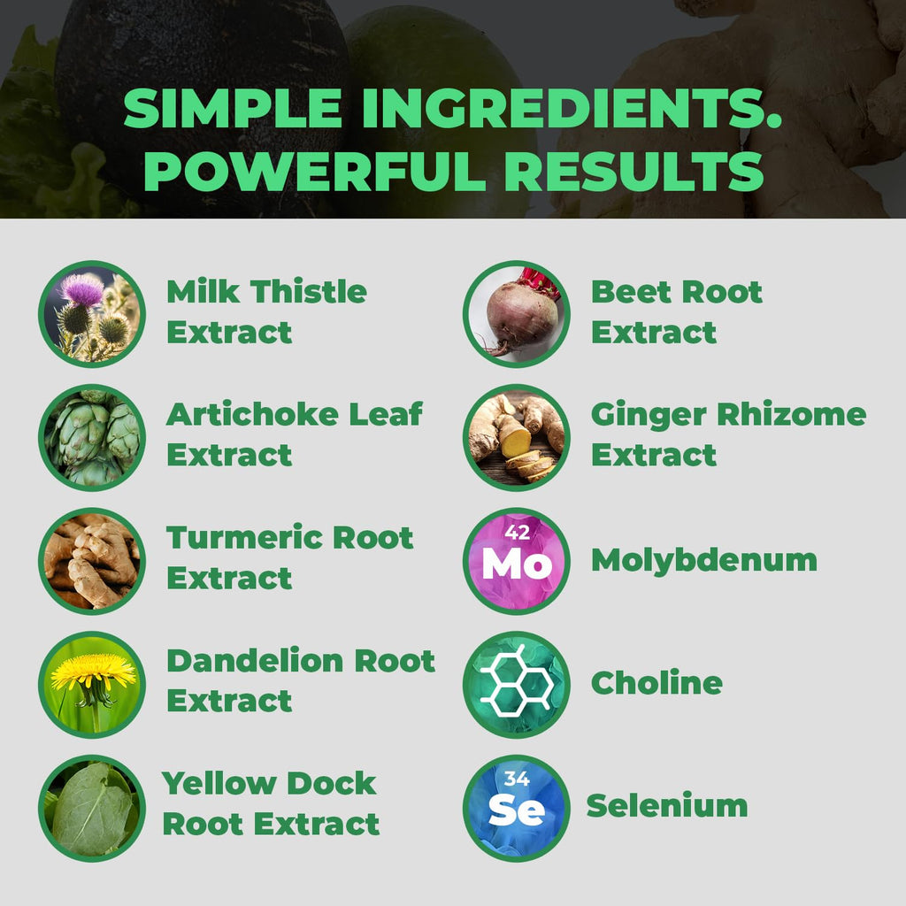 Balance ONE Liver Support Supplement with Milk Thistle, Molybdenum, Dandelion Root & Choline – Liver Health, Detox Pathway & Antioxidant Support – Vegan Capsules, 1 Month Supply – Liver One - Maple Wellness Supplements