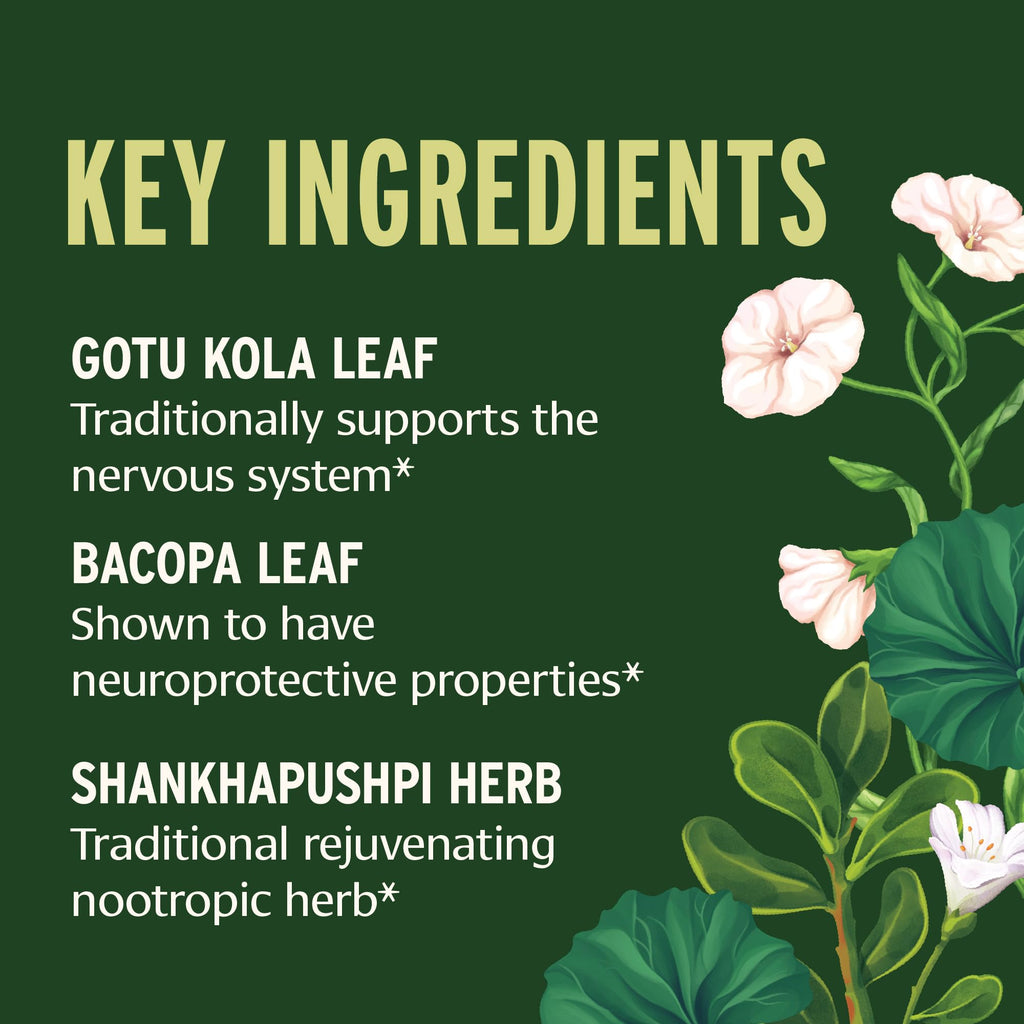 Banyan Botanicals Focus Liquid Extract – Organic Focus Supplement – Liquid Extract in Non-Alcoholic Glycerin – Nootropic Herbs for Fast-Acting Support* – 1 oz. – Non-GMO Sustainably Sourced Vegan - TrustMedUSA