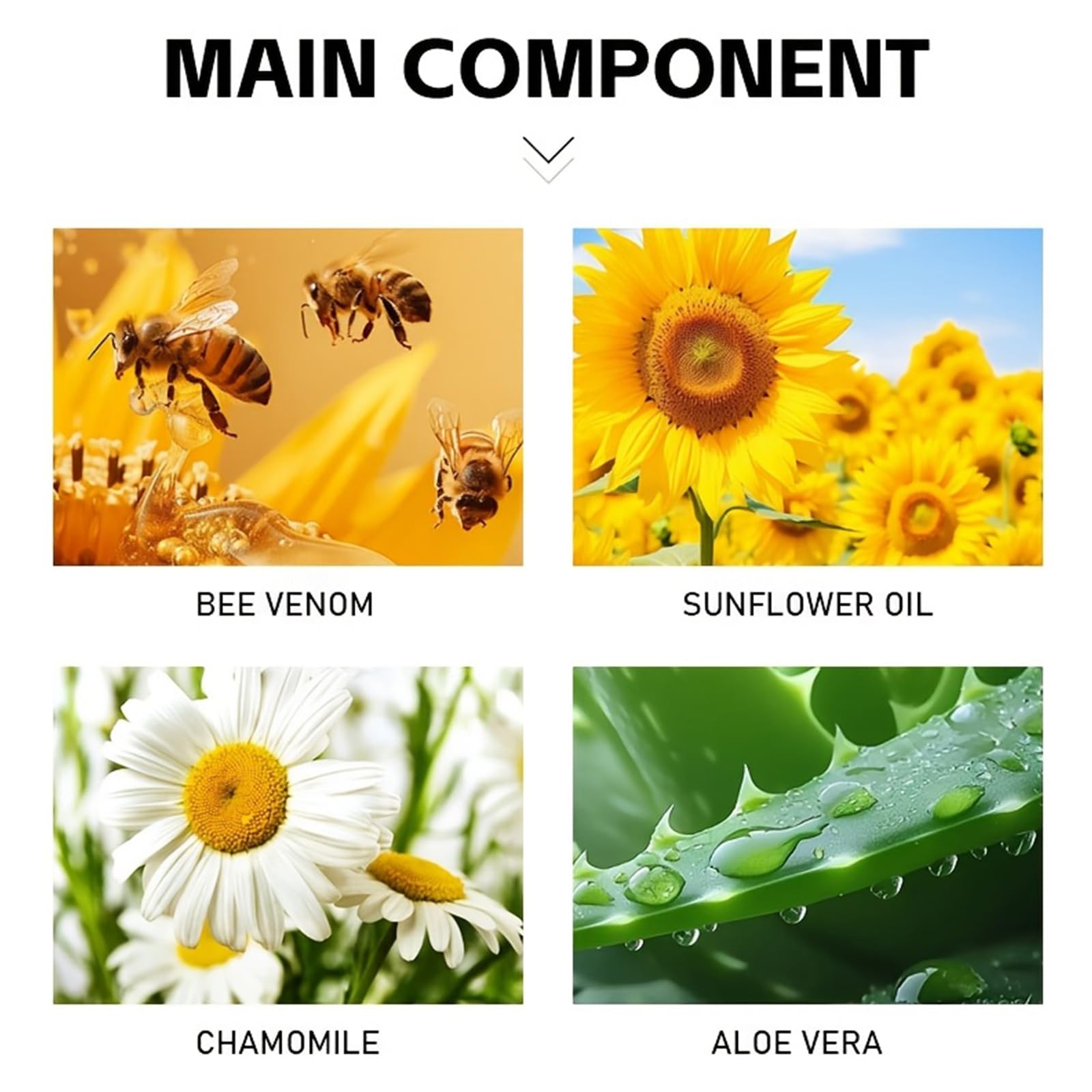 Bee Venom Joint Cream – Advanced Joint Support Cream with Honey & Chamomile, Soothing Formula for Aches & Stiffness in Knees, Hands, Back, Natural Relief Cream for Daily Joint Care (Bee venom) - TrustMedUSA