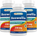 Best Naturals Boswellia Serrata Joint Health 250 mg 120 Capsules - Standardized to 65% Boswellic Acid (120 Count (Pack of 3)) - TrustMedUSA