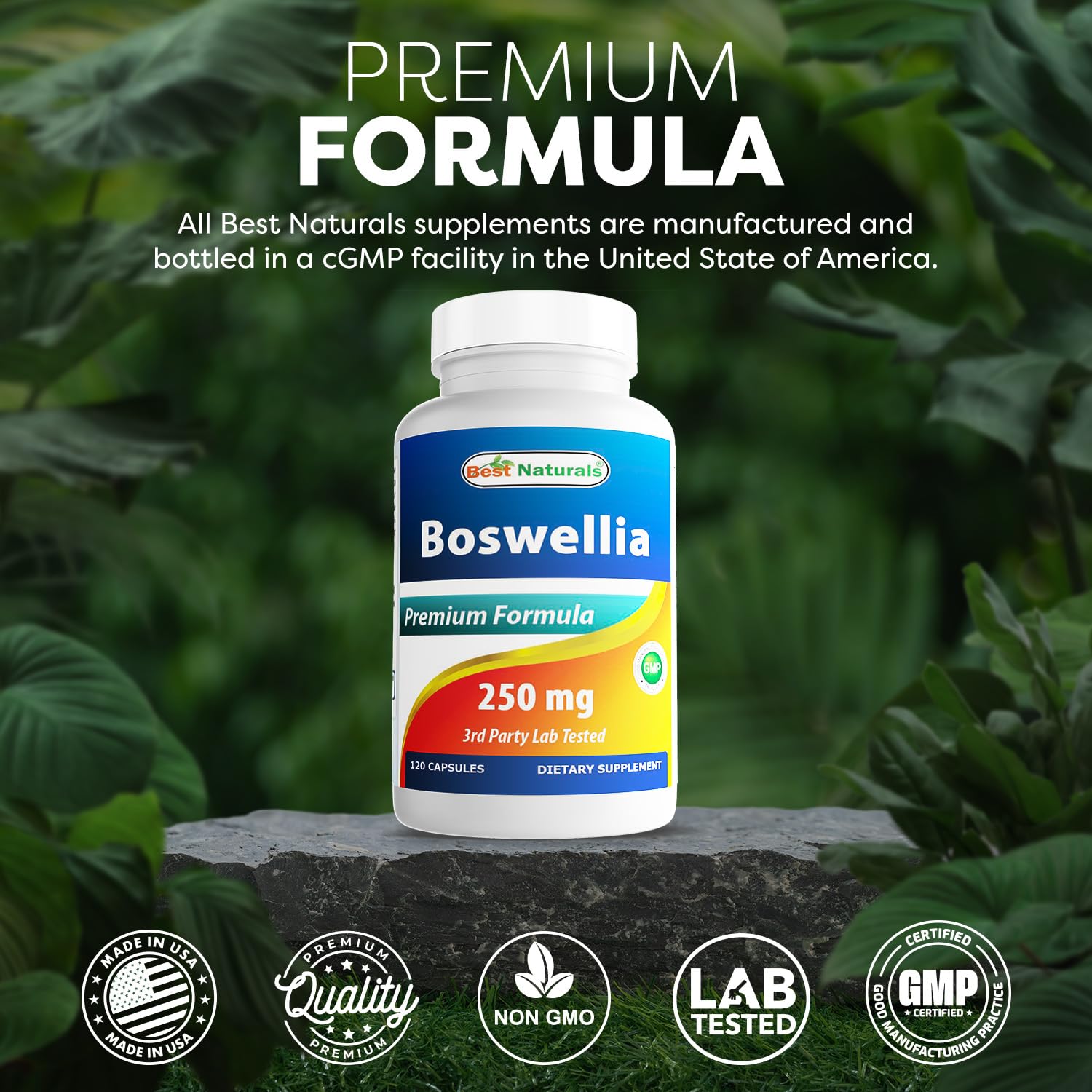 Best Naturals Boswellia Serrata Joint Health 250 mg 120 Capsules - Standardized to 65% Boswellic Acid (120 Count (Pack of 3)) - TrustMedUSA
