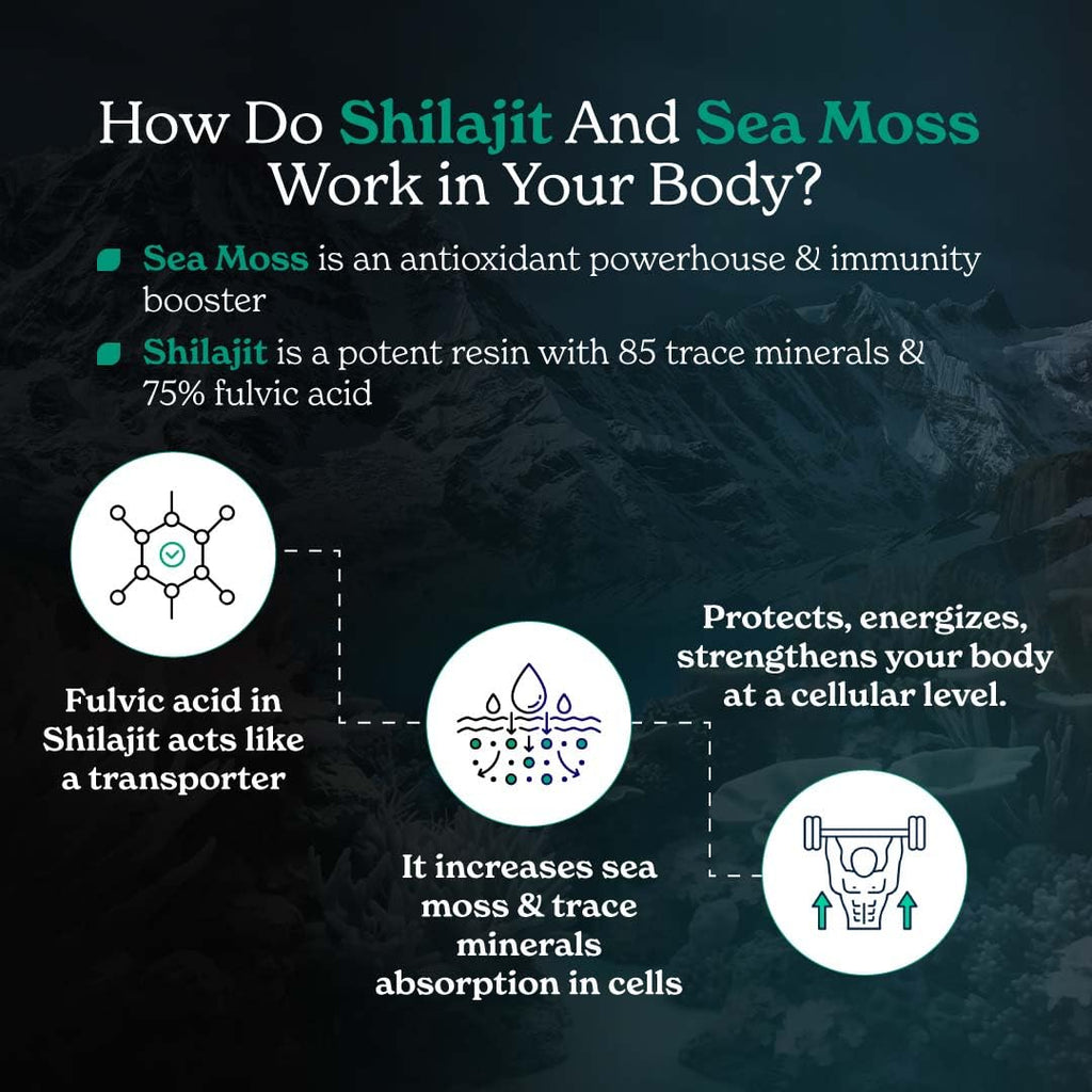 Better Alt Shilajit Sea Moss Capsules Pack of 2 with Ashwagandha & Black Pepper Extract with 85+ Essential Minerals & Antioxidants| Boosts Energy & Metabolism - 120 Servings, 240 Capsules - TrustMedUSA