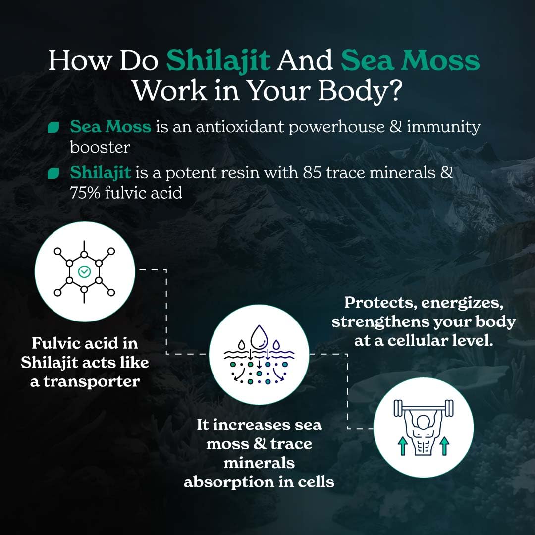Better Alt Shilajit Sea Moss Capsules Pack of 2 with Ashwagandha & Black Pepper Extract with 85+ Essential Minerals & Antioxidants| Boosts Energy & Metabolism - 120 Servings, 240 Capsules - TrustMedUSA